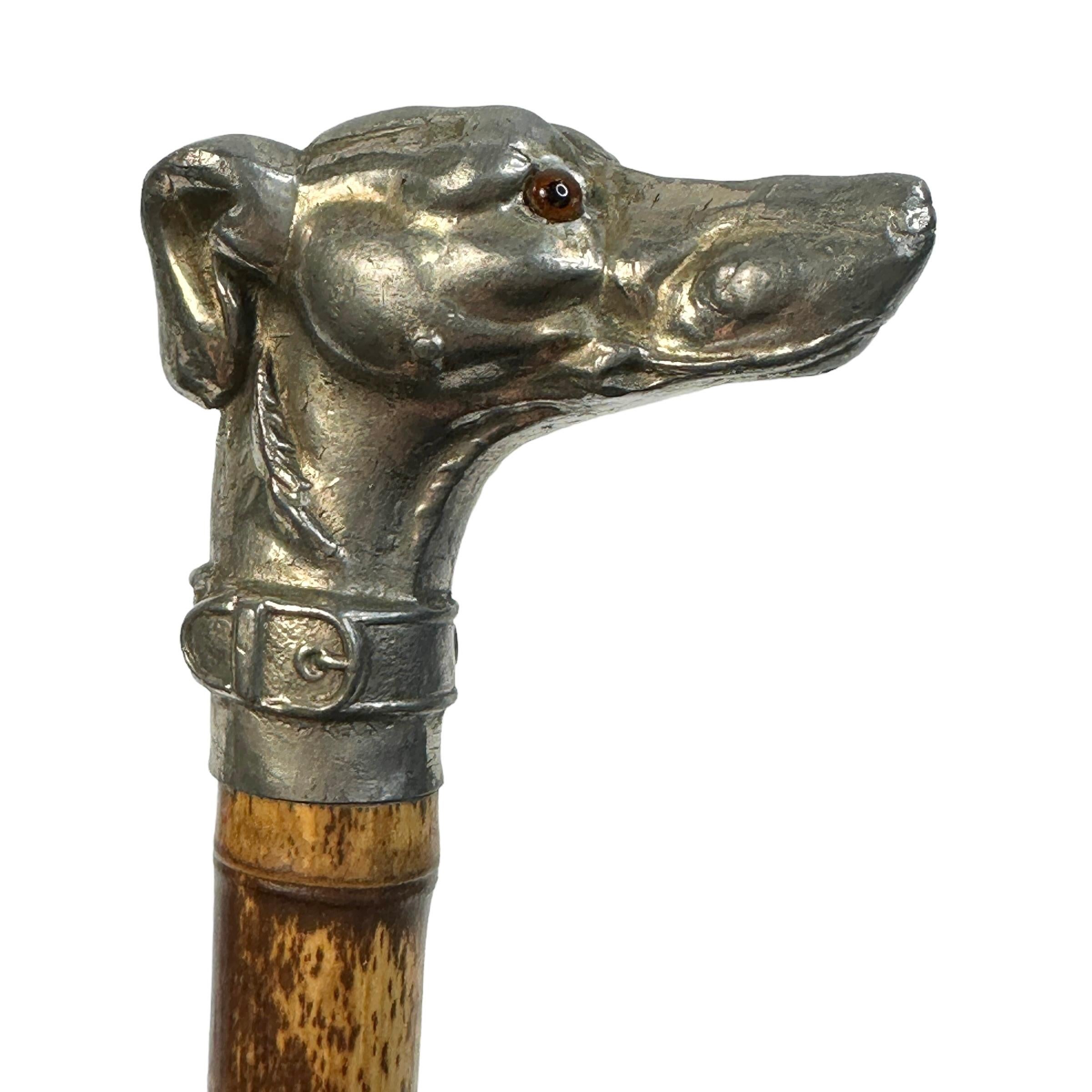 Beautiful pewter and bamboo dog head walking stick. Manufactured in the Vienna Austria at the end of the 19th century. Wonderfully expressive representation of a whippet or greyhound dog. Classic made with glass eyes. Purchased at an Estate Sale in