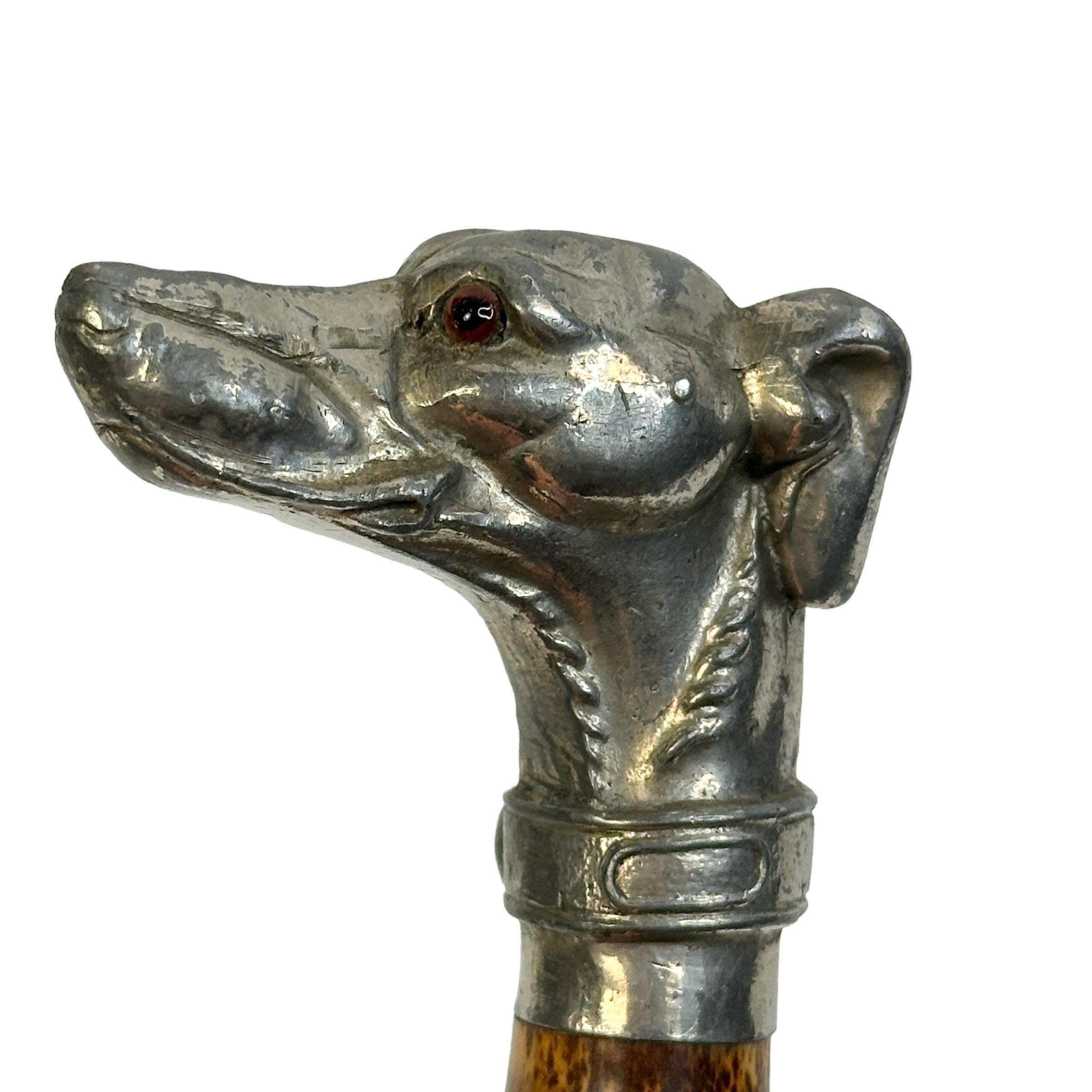 Glass Antique Pewter Whippet Greyhound Head Dog Walking Stick, 1890s, Austria Vienna For Sale