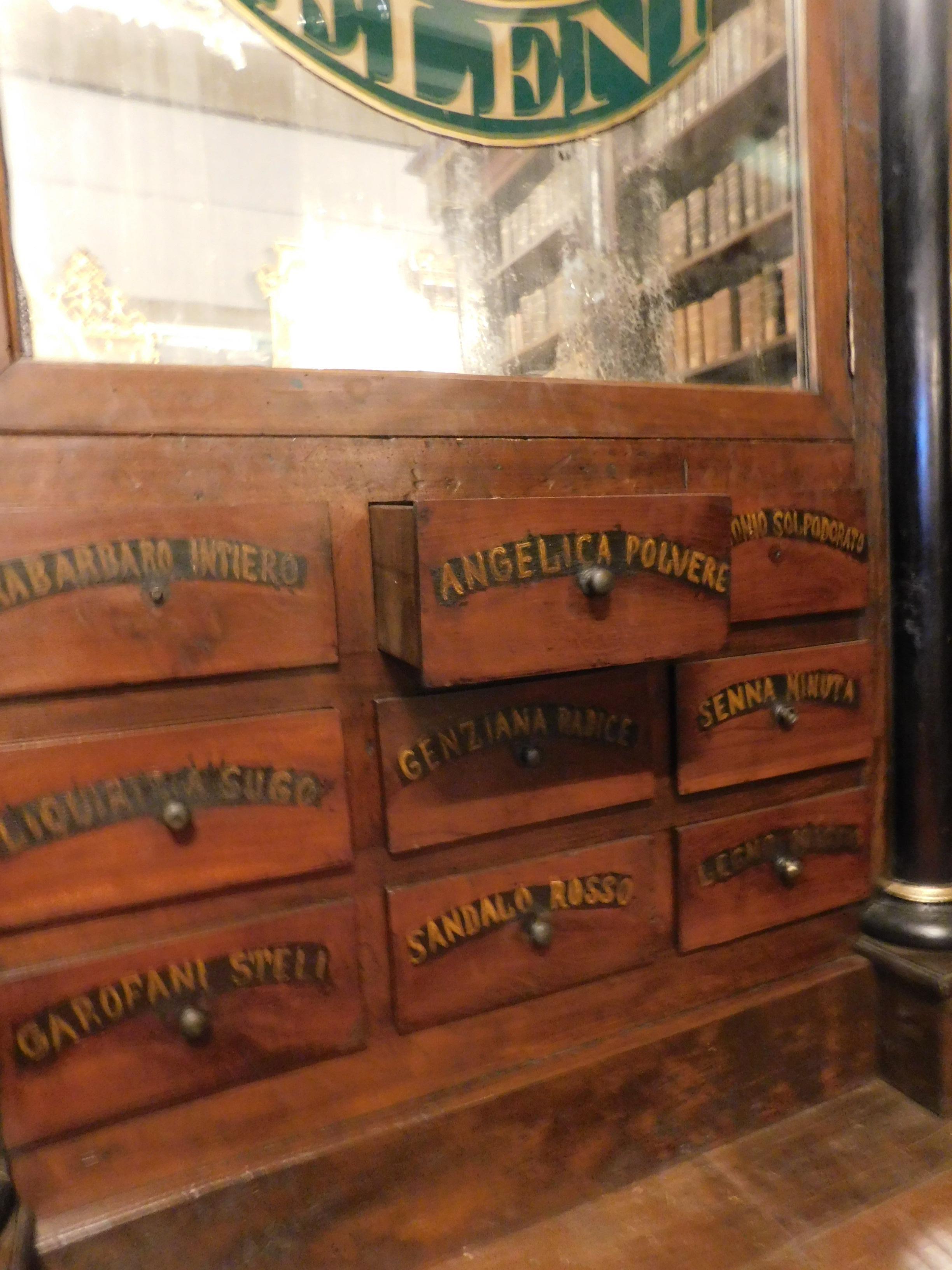 Hand-Carved Antique Pharmacy Cabinet, Walnut Bookcases and Glass Doors with Sign, '800 Italy For Sale