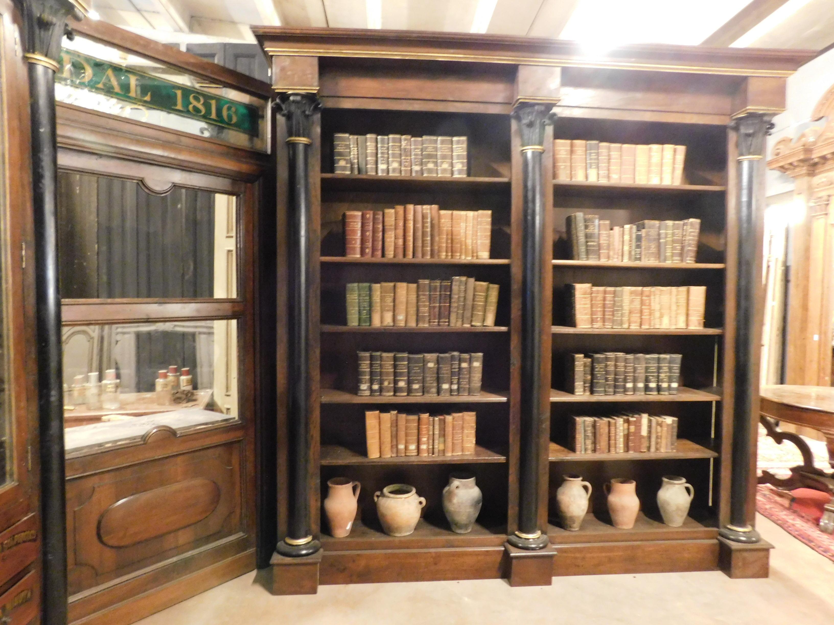 Armoire de pharmacie ancienne, bibliothèques en noyer et portes en verre avec enseigne, 800 Italie en vente 2
