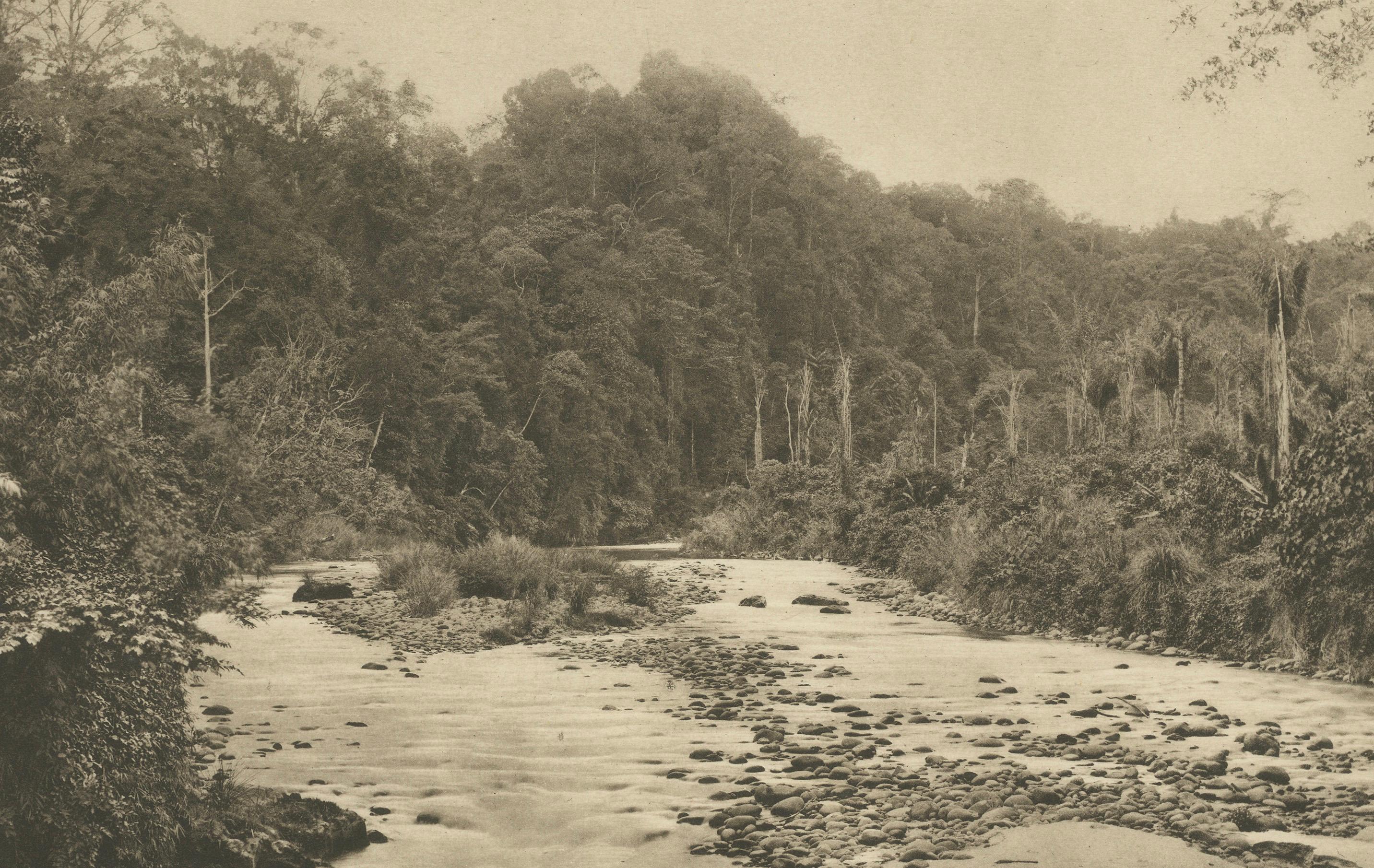 Papier Gravure photographique ancienne de la rivière Soengei Boewaya, Sumatra, Indonésie, 1910 en vente