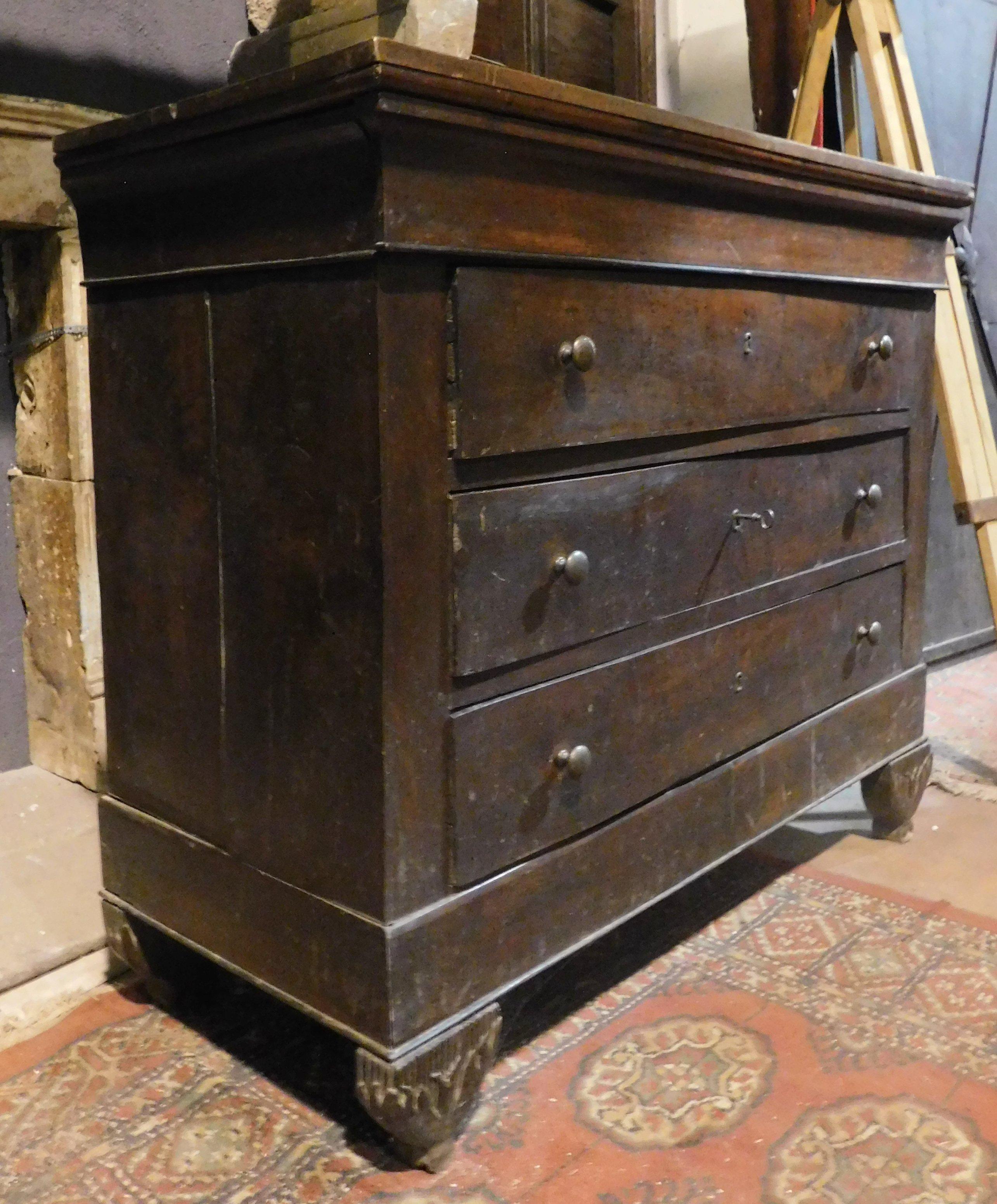 Antique Piedmontese Chest of Drawers in Walnut, 19th Century Italy In Good Condition For Sale In Cuneo, Italy (CN)