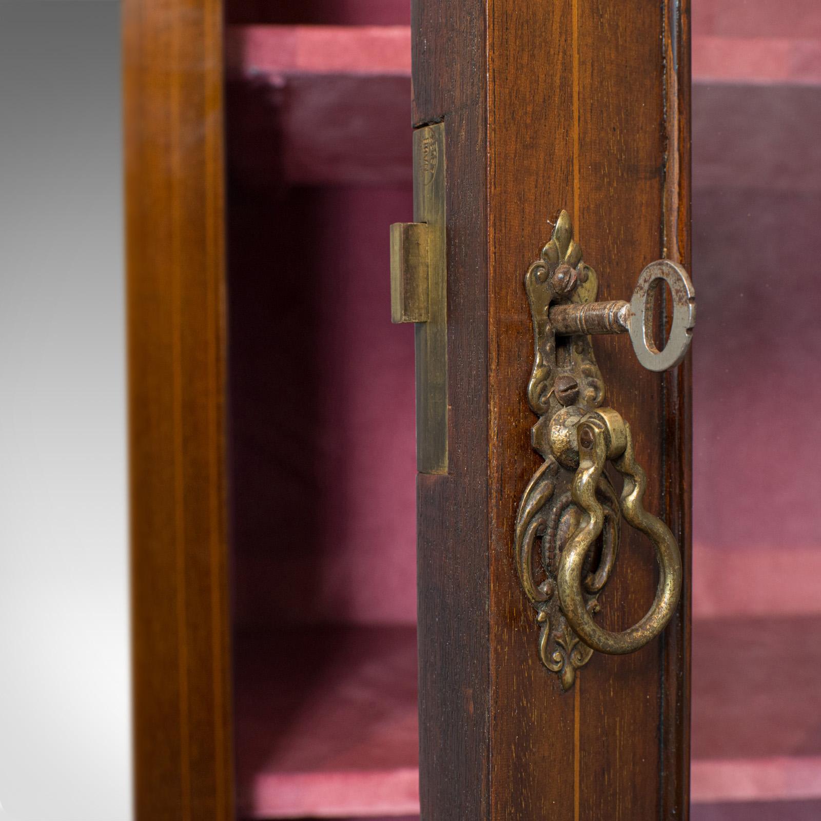 Antique Pier Cabinet, English, Mahogany, Display, Showcase, Late 19th Century 6