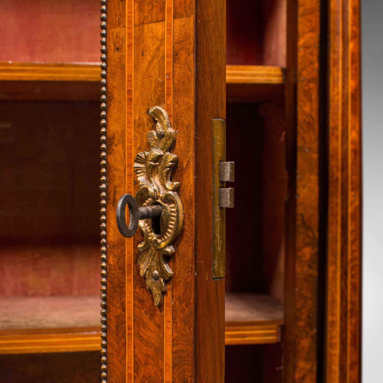 Antique Pier Display Cabinet, English Walnut, Boxwood, Glazed Bookcase, Regency 6