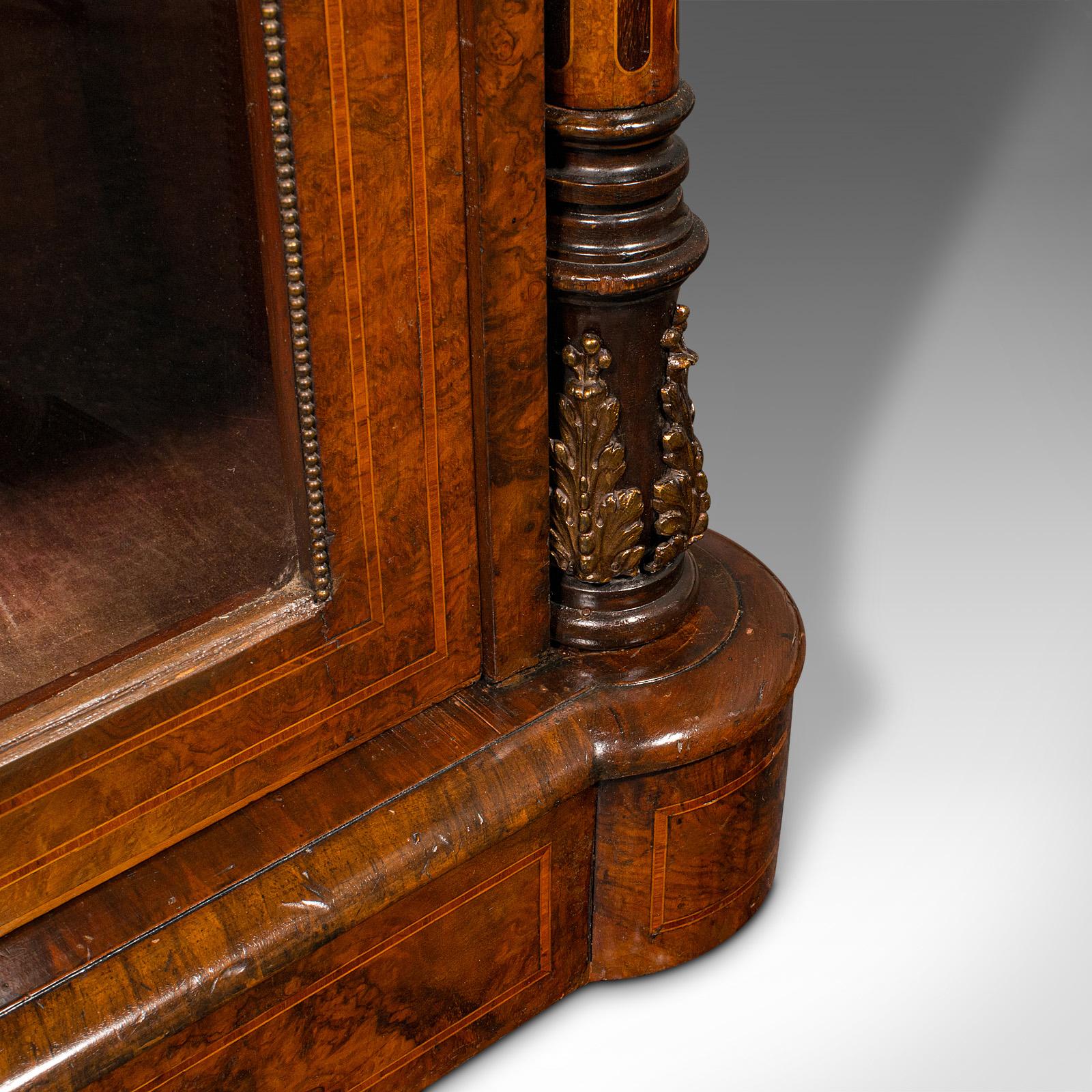 Antique Pier Display Cabinet, English Walnut, Boxwood, Glazed Bookcase, Regency 7