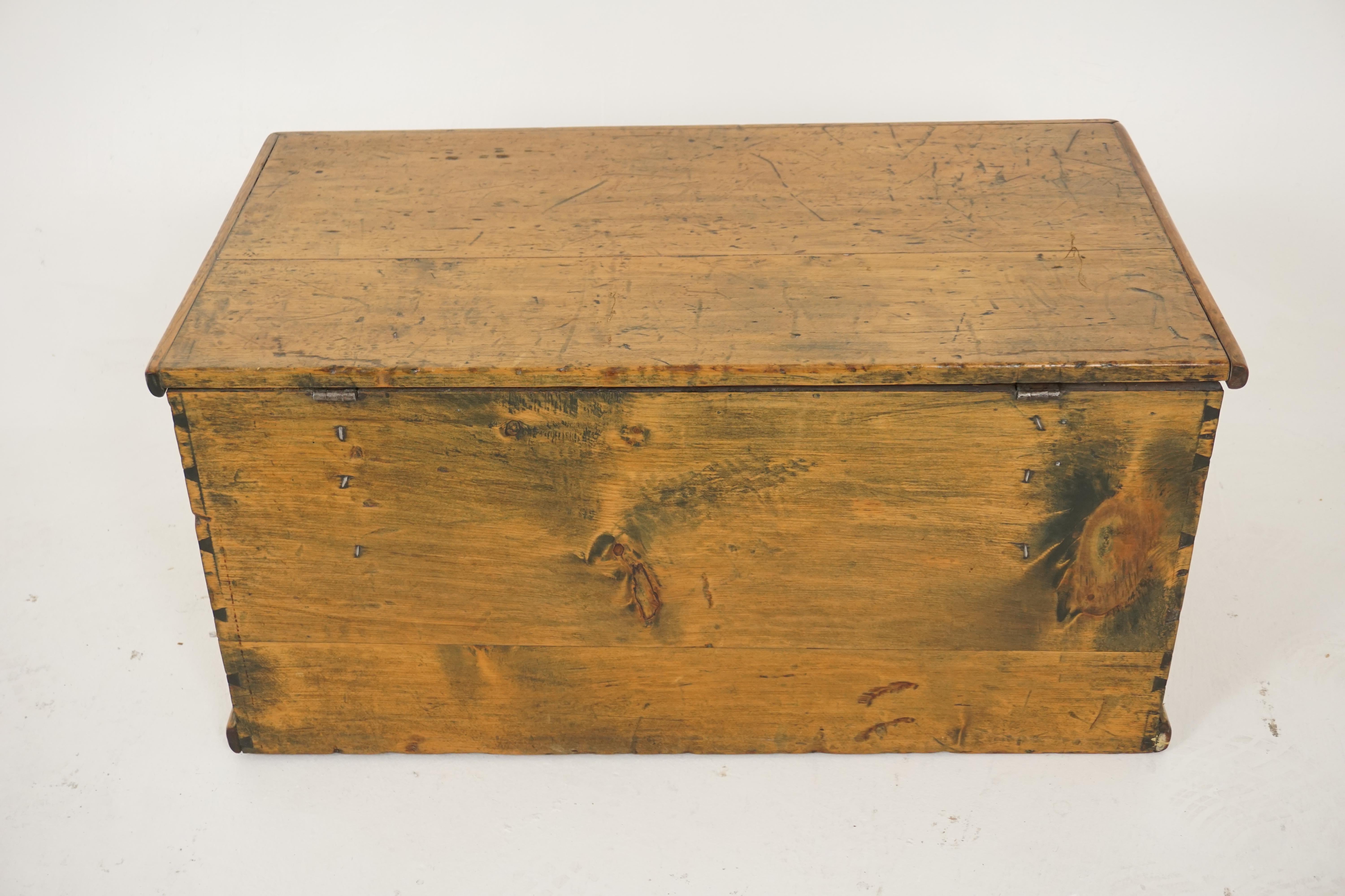 Late 19th Century Antique Pine Blanket Box, Victorian Trunk or Coffee Table, Scotland, 1880