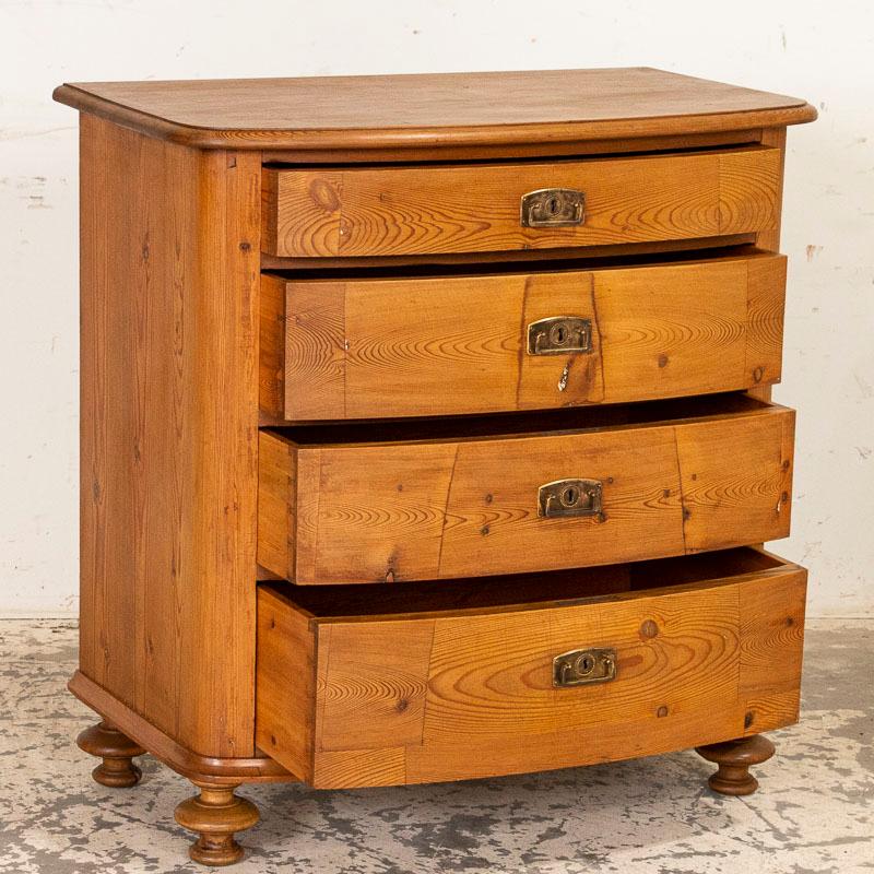 The gentle bow front of this 4-drawer chest adds to the simple grace of the piece. It has been given a waxed finish, bringing out the warmth of the wood and sits upon lovely turned feet. A pine chest of drawers such as this were typical coming of