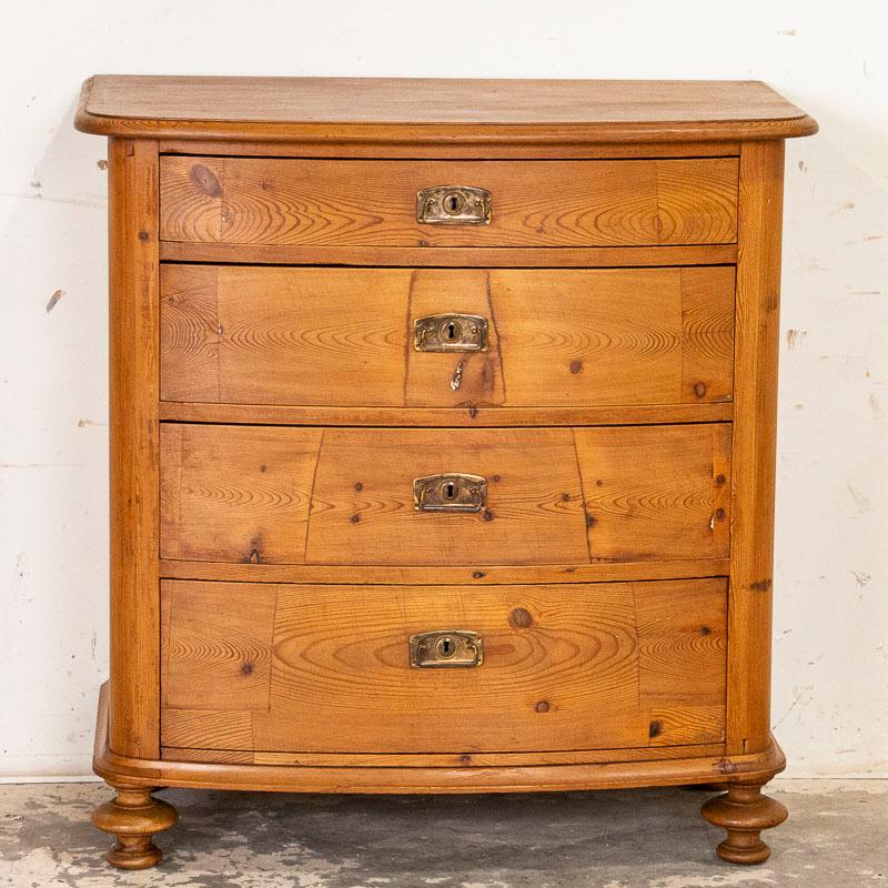 Danish Antique Pine Bow Front Chest of 4 Drawers