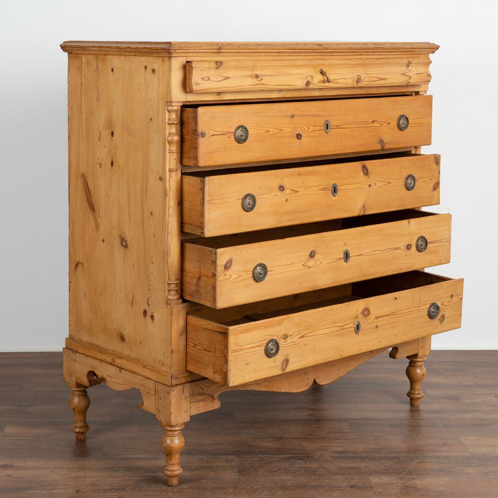 Empire Antique Pine Highboy Chest of Five Drawers from Denmark, circa 1800s