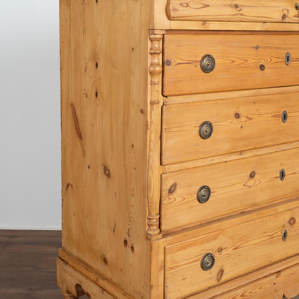 Wood Antique Pine Highboy Chest of Five Drawers from Denmark, circa 1800s