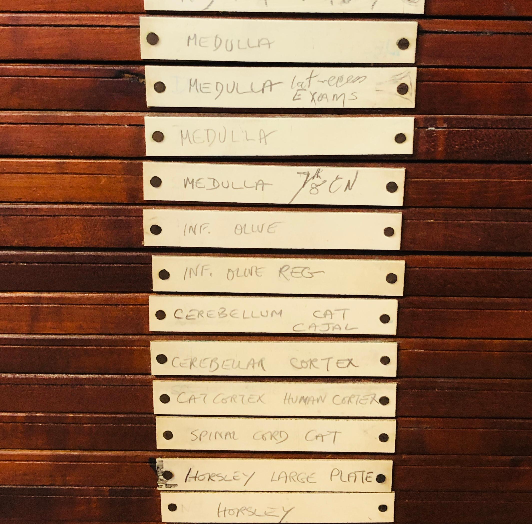 British Antique Pine Medical Cabinet, Referenced to Joseph Maina Mungai, c1900 For Sale