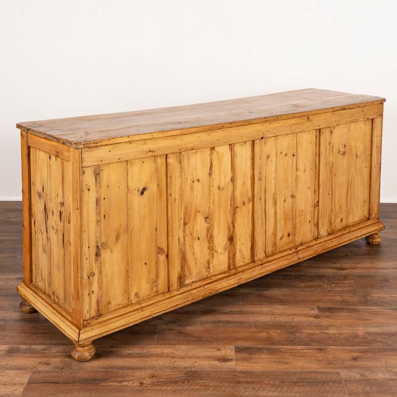 19th Century Antique Pine Shop Counter or Apothecary Perfect for Kitchen Island from Denmark
