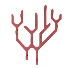 Antique Pink Ambroise Wall Coat Rack by HARTO