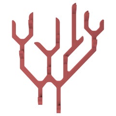 Antique Pink Ambroise Wall Coat Rack by HARTO