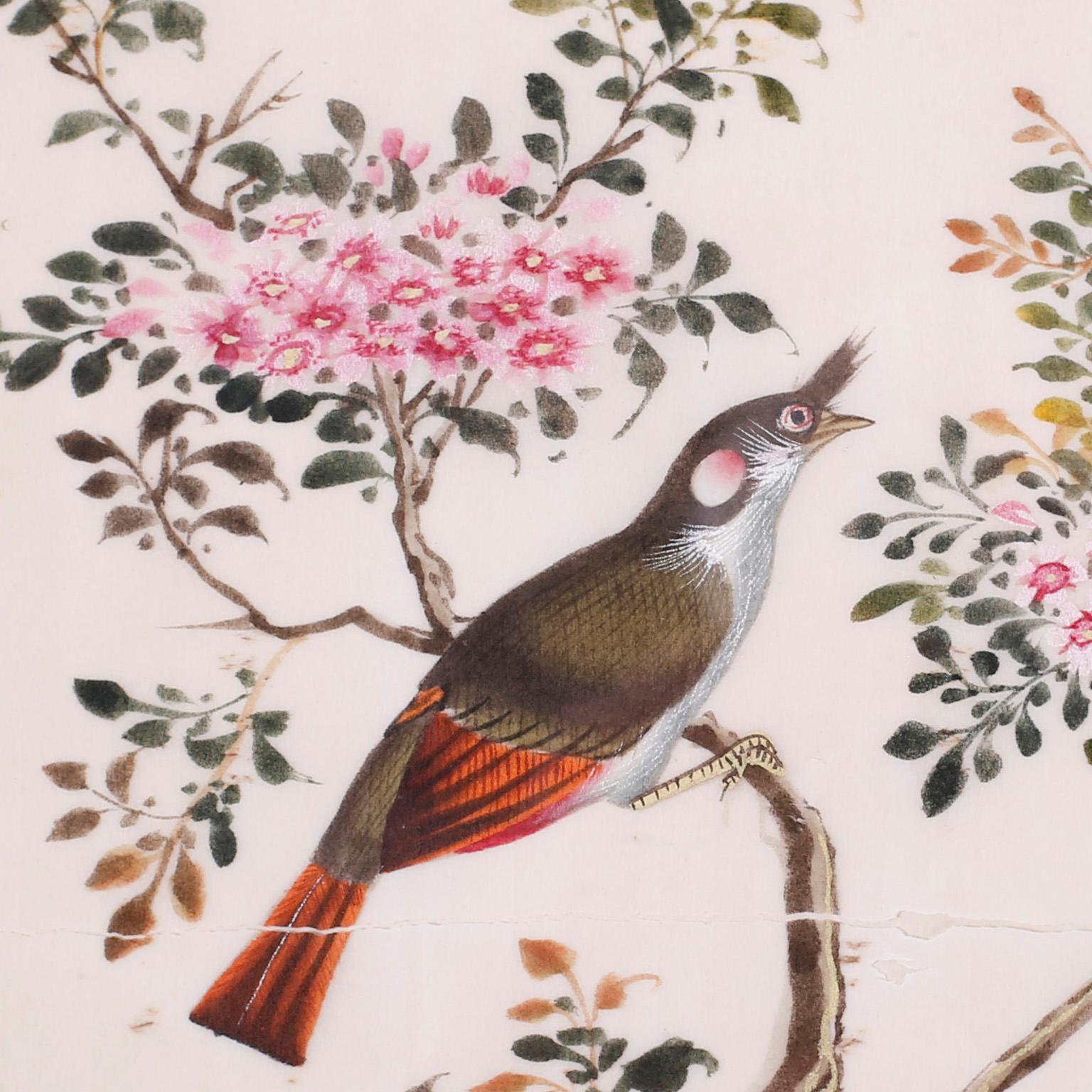 antique bird paintings