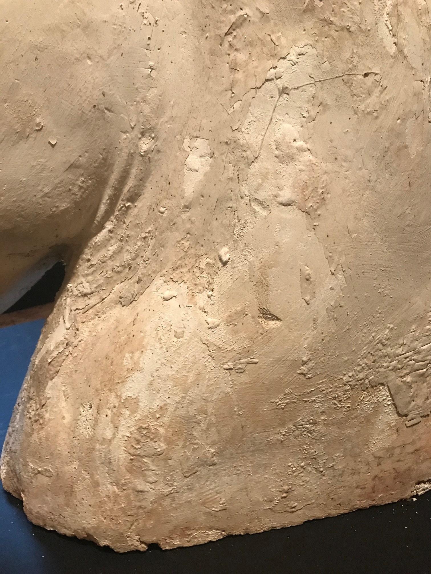 Antique Plaster Cast of the Parthenon Selene Horse Head 1