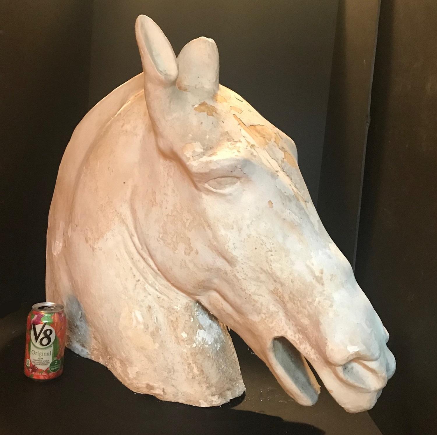 parthenon horse head