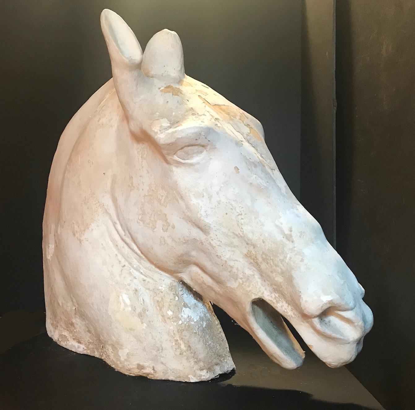 Classical Greek Antique Plaster Cast of the Parthenon Selene Horse Head
