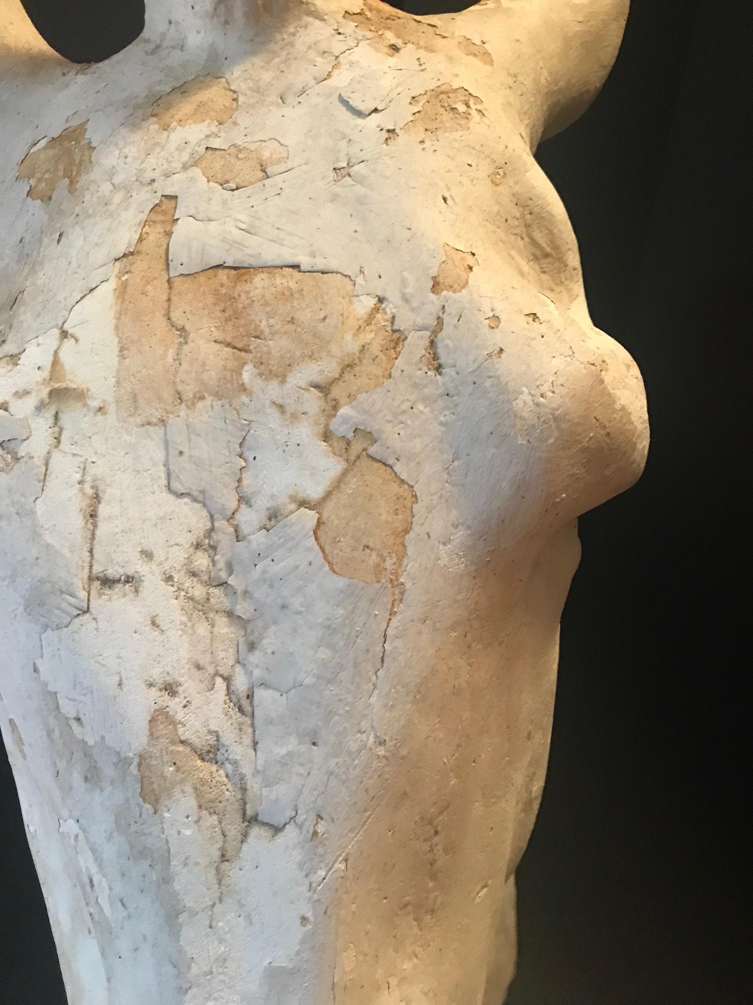 19th Century Antique Plaster Cast of the Parthenon Selene Horse Head