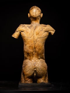 Antique plaster original sculptured Ecorché buste, 19th century, lifesize scale.