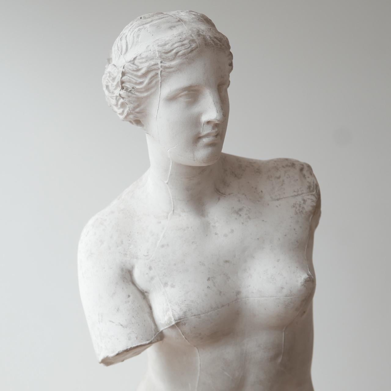 Antique Plaster Reduction of Venus De Milo Statue 6