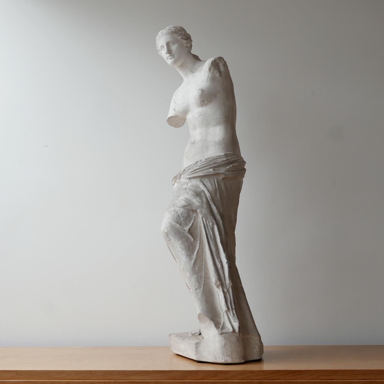 Antique Plaster Reduction of Venus De Milo Statue 10