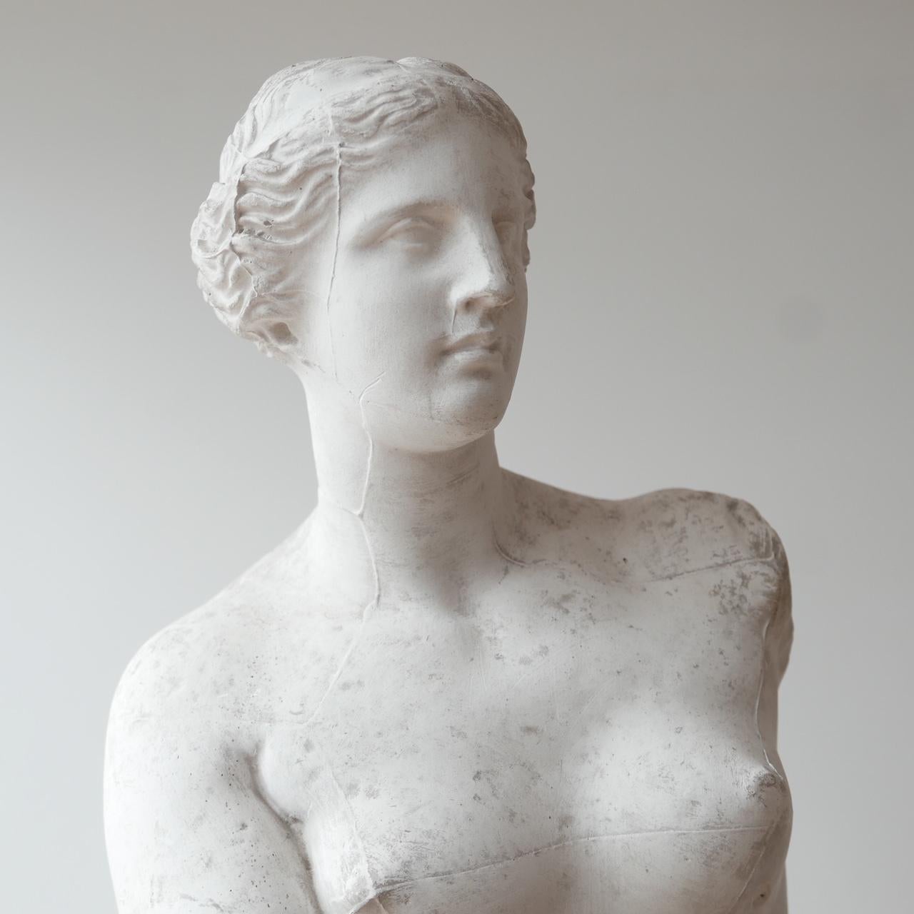 Antique Plaster Reduction of Venus De Milo Statue 1