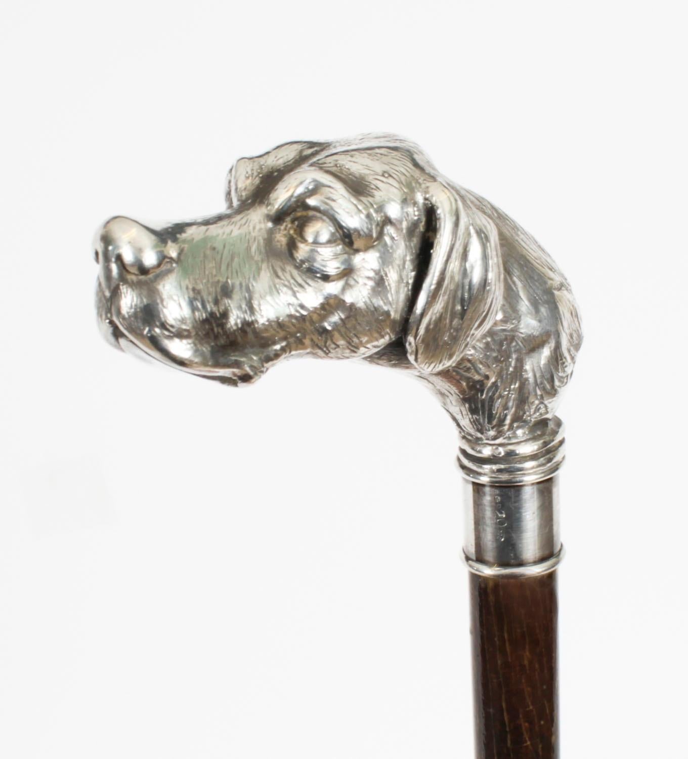 A superb antique French silver Pointer Dog's Head handled  walking stick, Circa 1880 in date.

It has a very decorative silver dogs head handle, stamped R-GR20 and 925 and made with great attention to detail, on a sturdy hardwood tapering shaft.

It