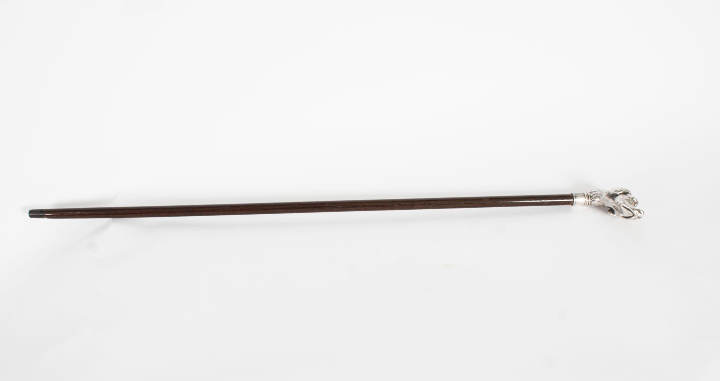 French Antique Pointer Dog Silver Handled Walking Stick Cane 19th Century 94cm/37 inch