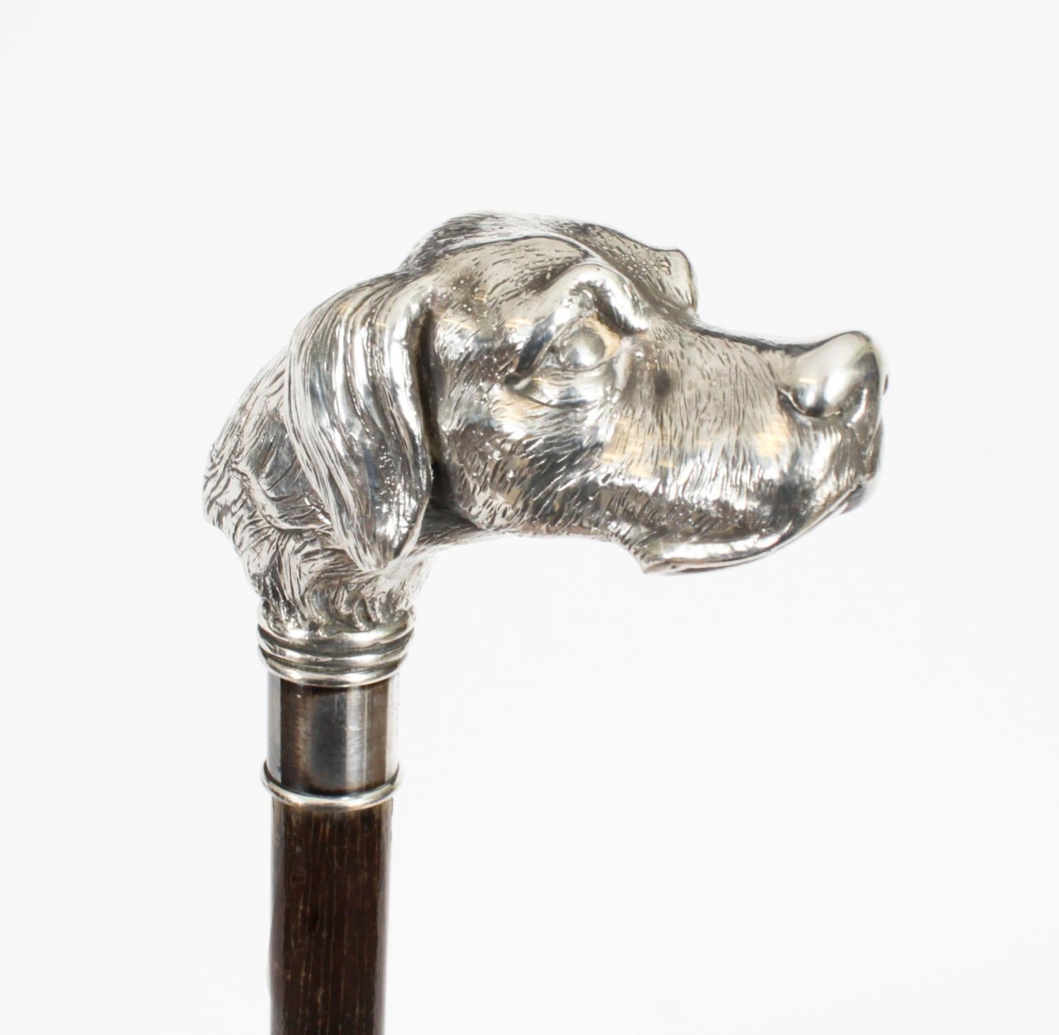 Antique Pointer Dog Silver Handled Walking Stick Cane 19th Century 94cm/37 inch In Good Condition In London, GB