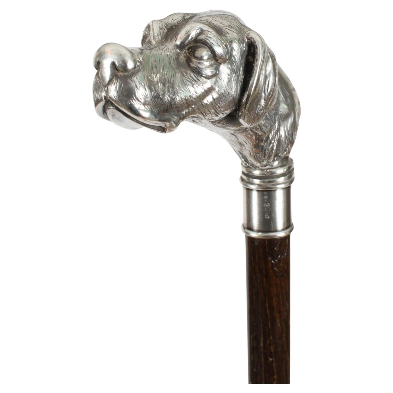 Antiker spitzer Hund mit silberner Handlehne und Spazierstock, 19. Jahrhundert 94 cm/37 Zoll