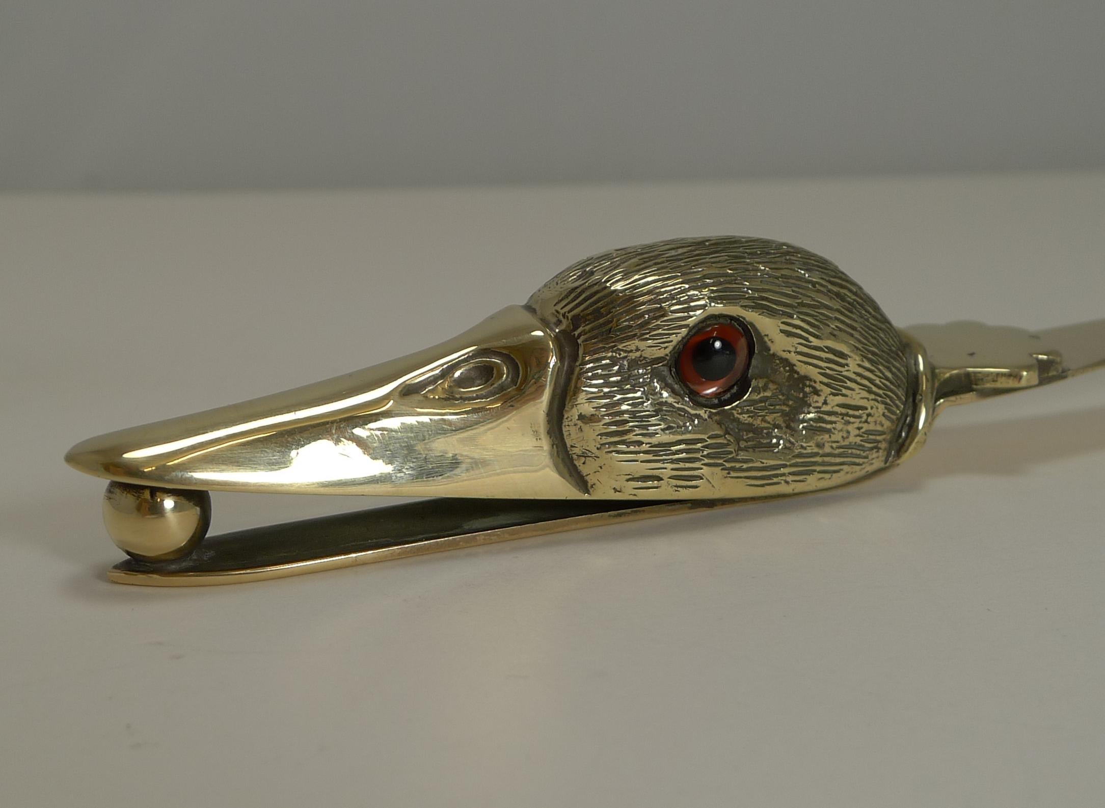 A rare and unusual figural letter opener cast and polished in English brass dating to the late 19th century or early 20th century.

The handle in the form of a Duck's head is beautifully executed and retains his two glass eyes.

Excellent