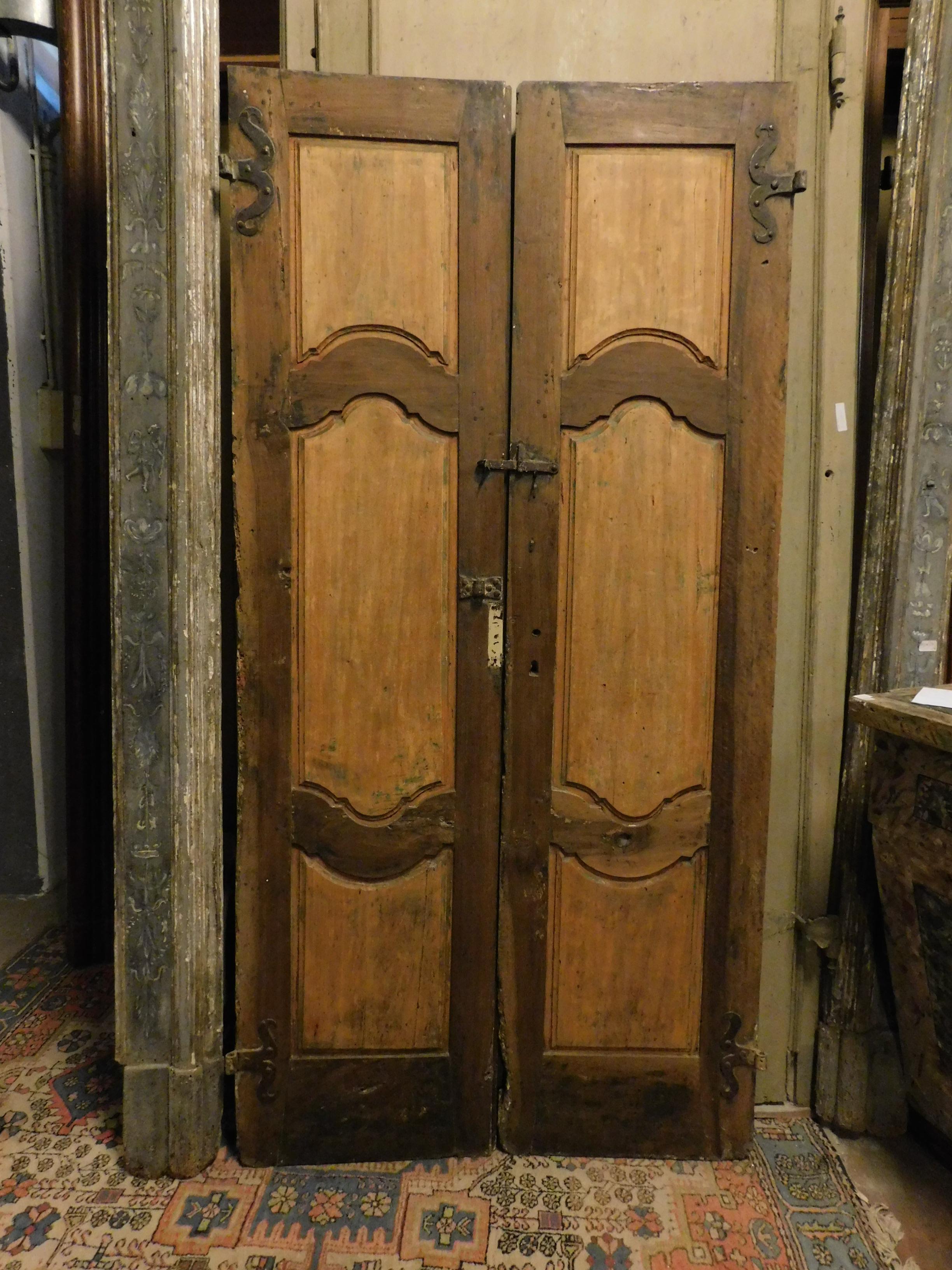 18th Century and Earlier Antique Poplar Internal Door with Two Wings, Sculpted, 18th Century, Italy