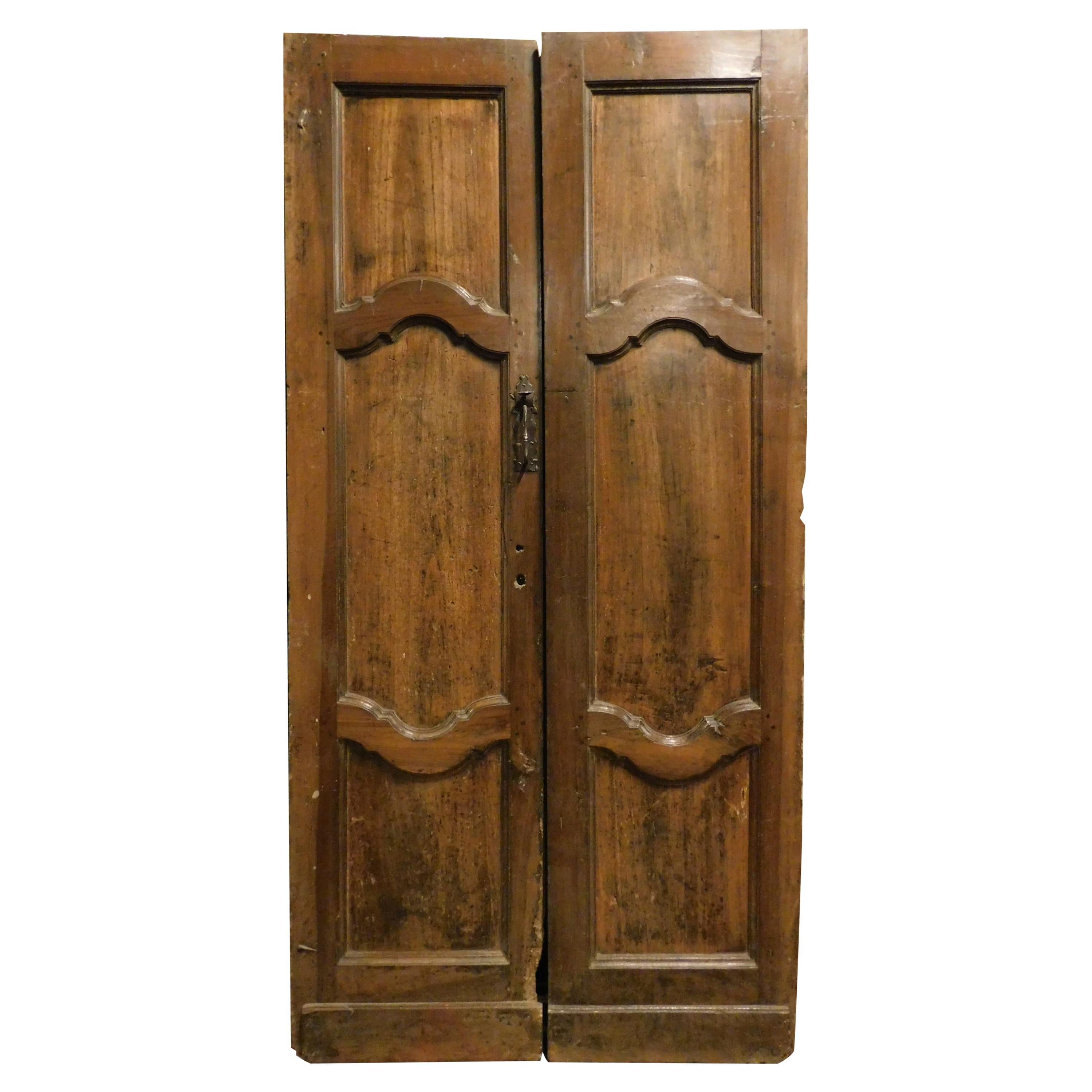 Antique Poplar Internal Door with Two Wings, Sculpted, 18th Century, Italy