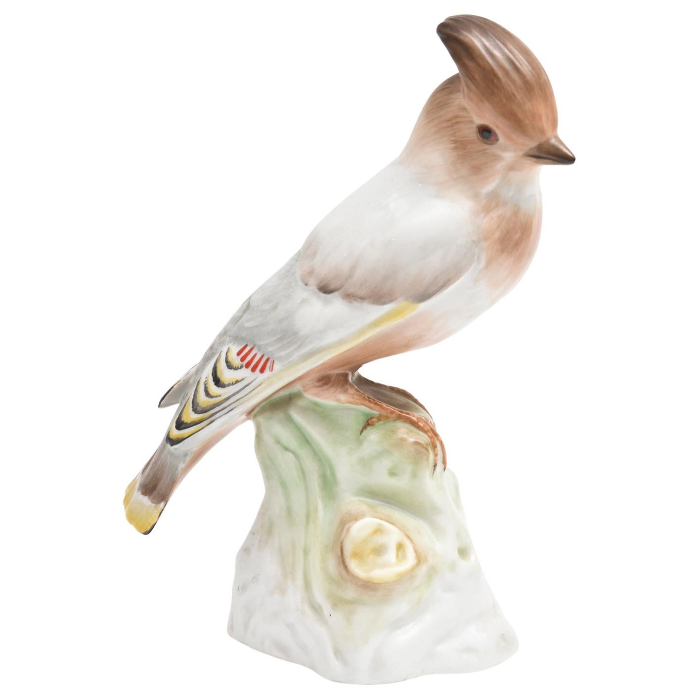 Antike Porzellan-Vogel-Skulptur oder Figur, handbemalt und realistisch, KPM