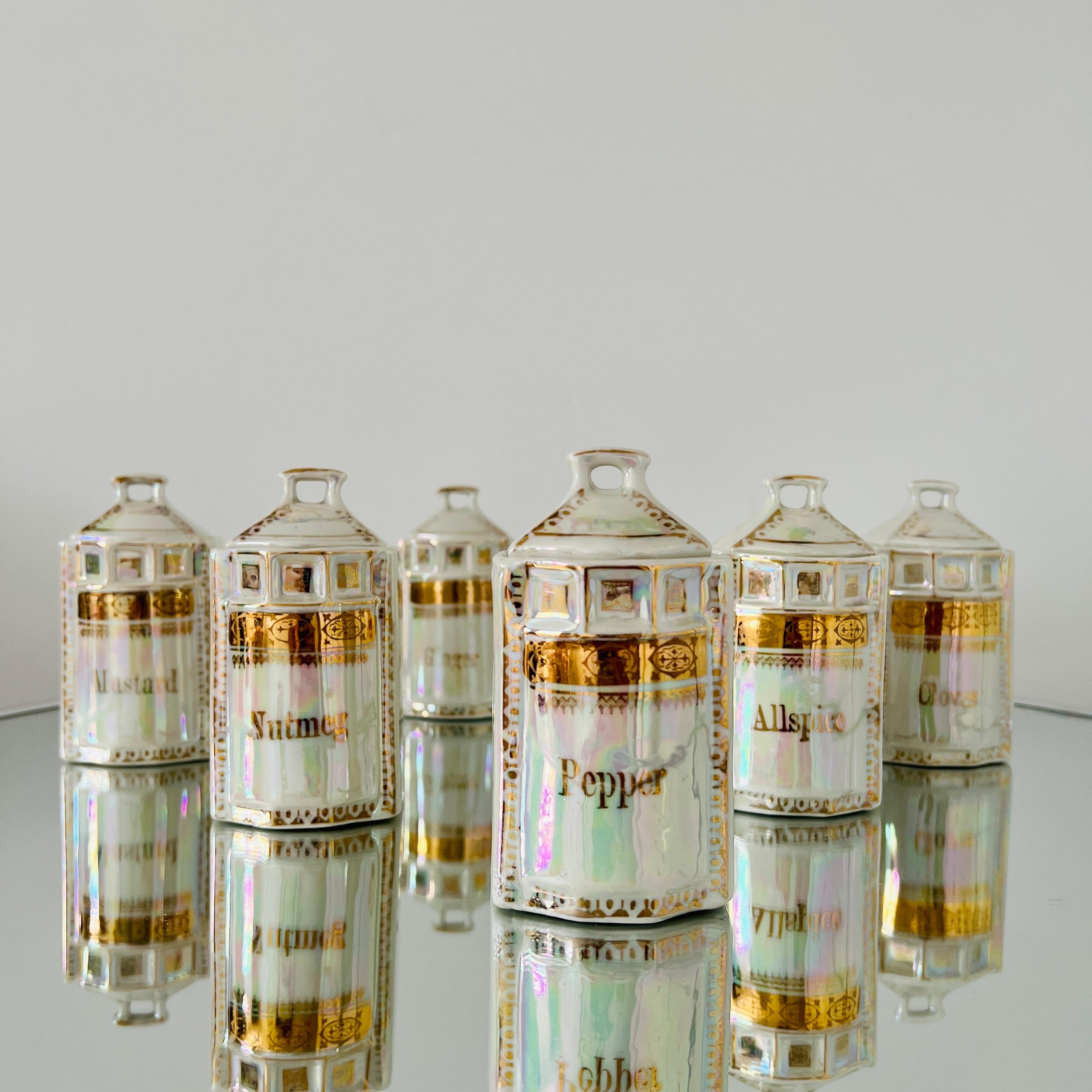 Antique Porcelain Canister Storage Jars and Spice Set / 13, Germany c. 1900 For Sale 4