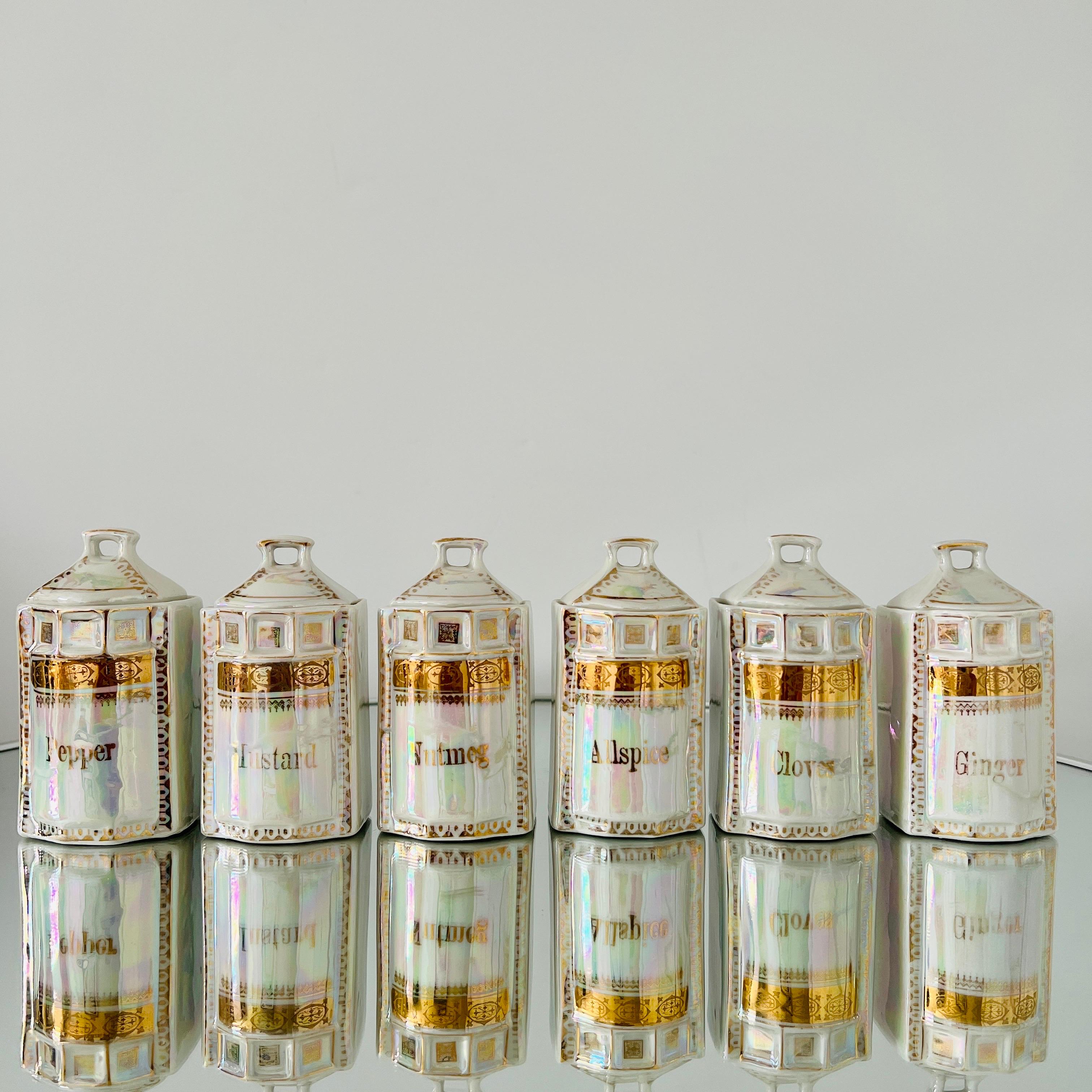 Early 20th Century Antique Porcelain Canister Storage Jars and Spice Set / 13, Germany c. 1900 For Sale
