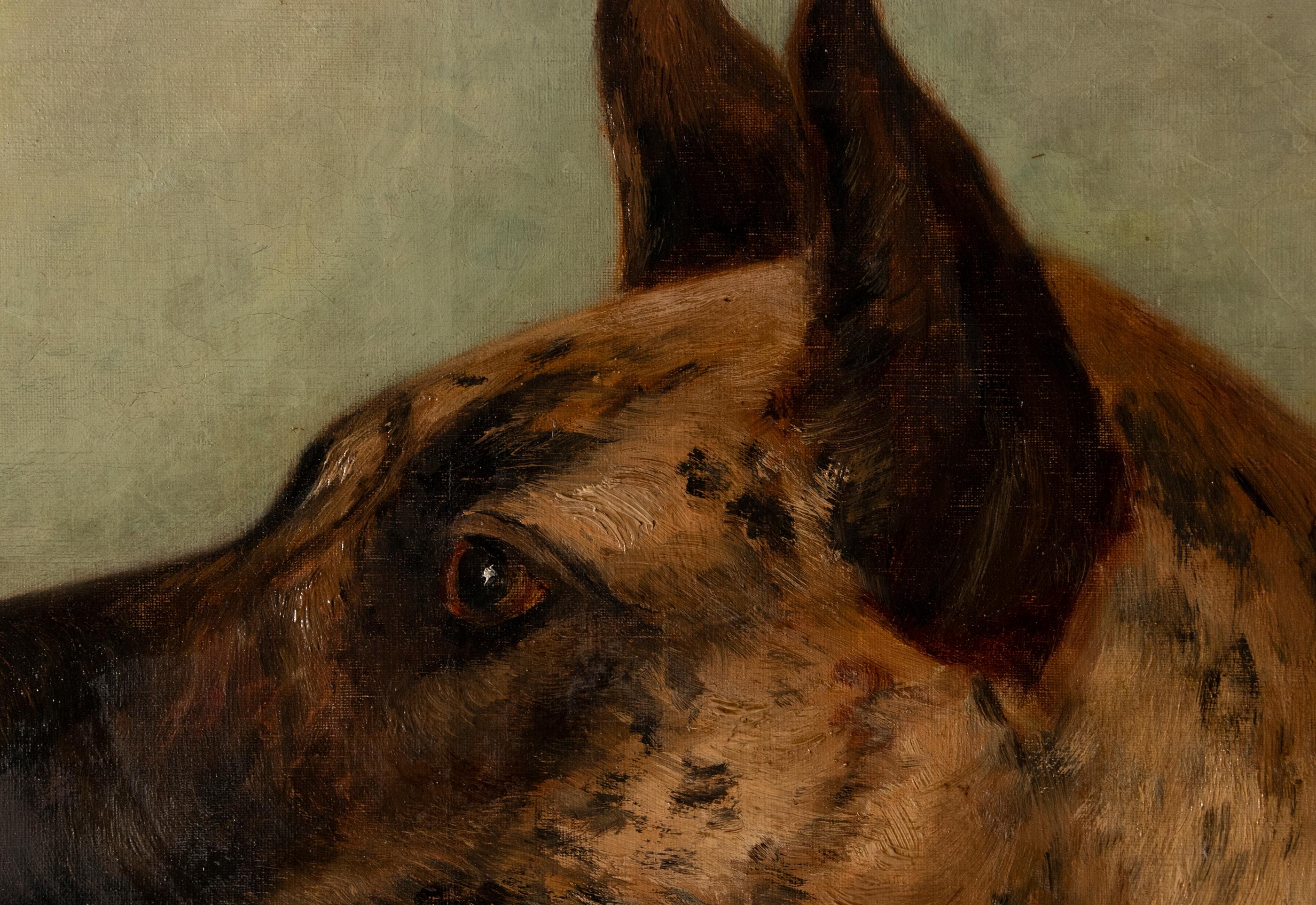 Portrait ancien d'un dogue allemand par Zélia Maria Klerx Huile sur toile en vente 7