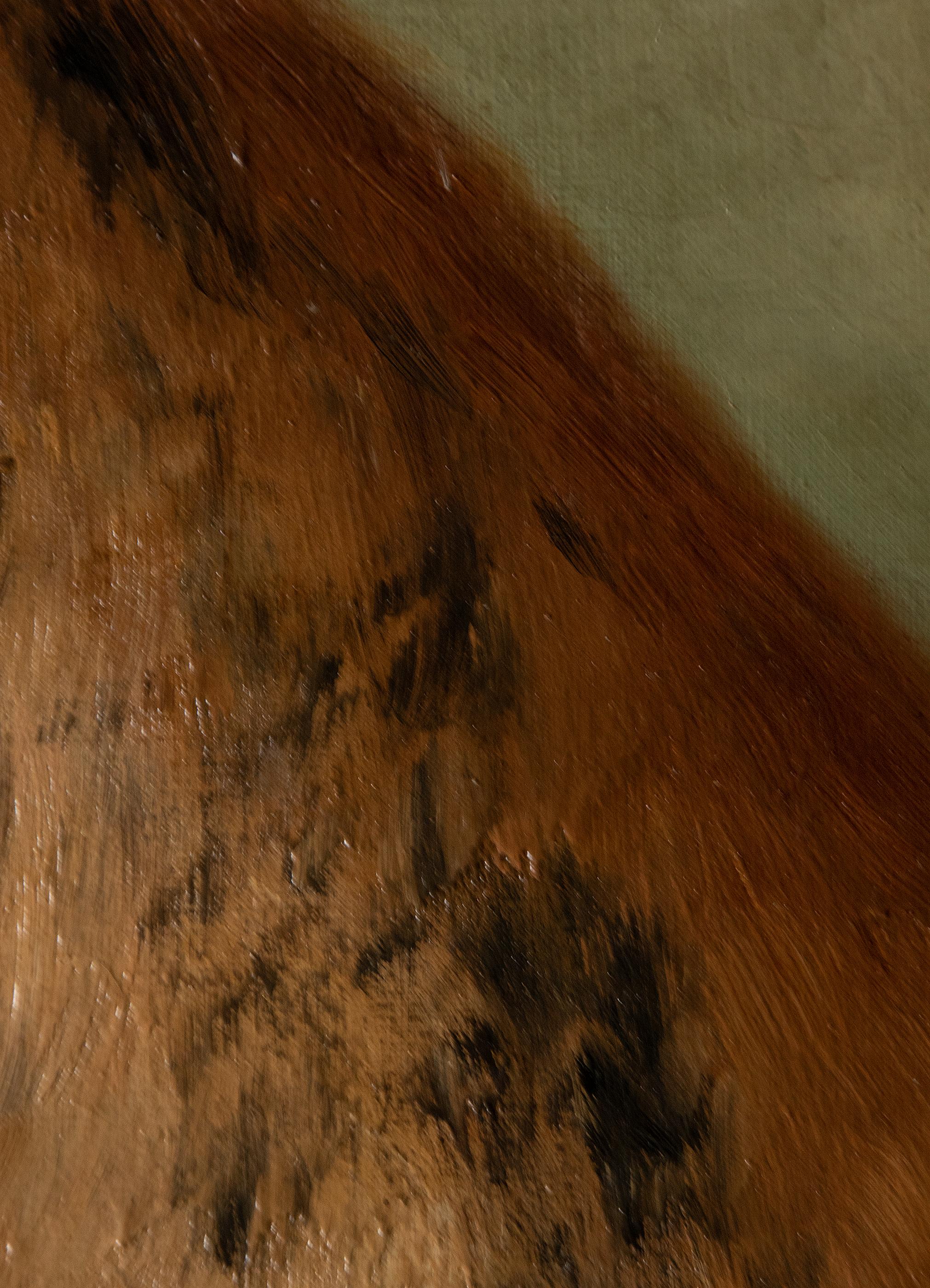 Portrait ancien d'un dogue allemand par Zélia Maria Klerx Huile sur toile en vente 8