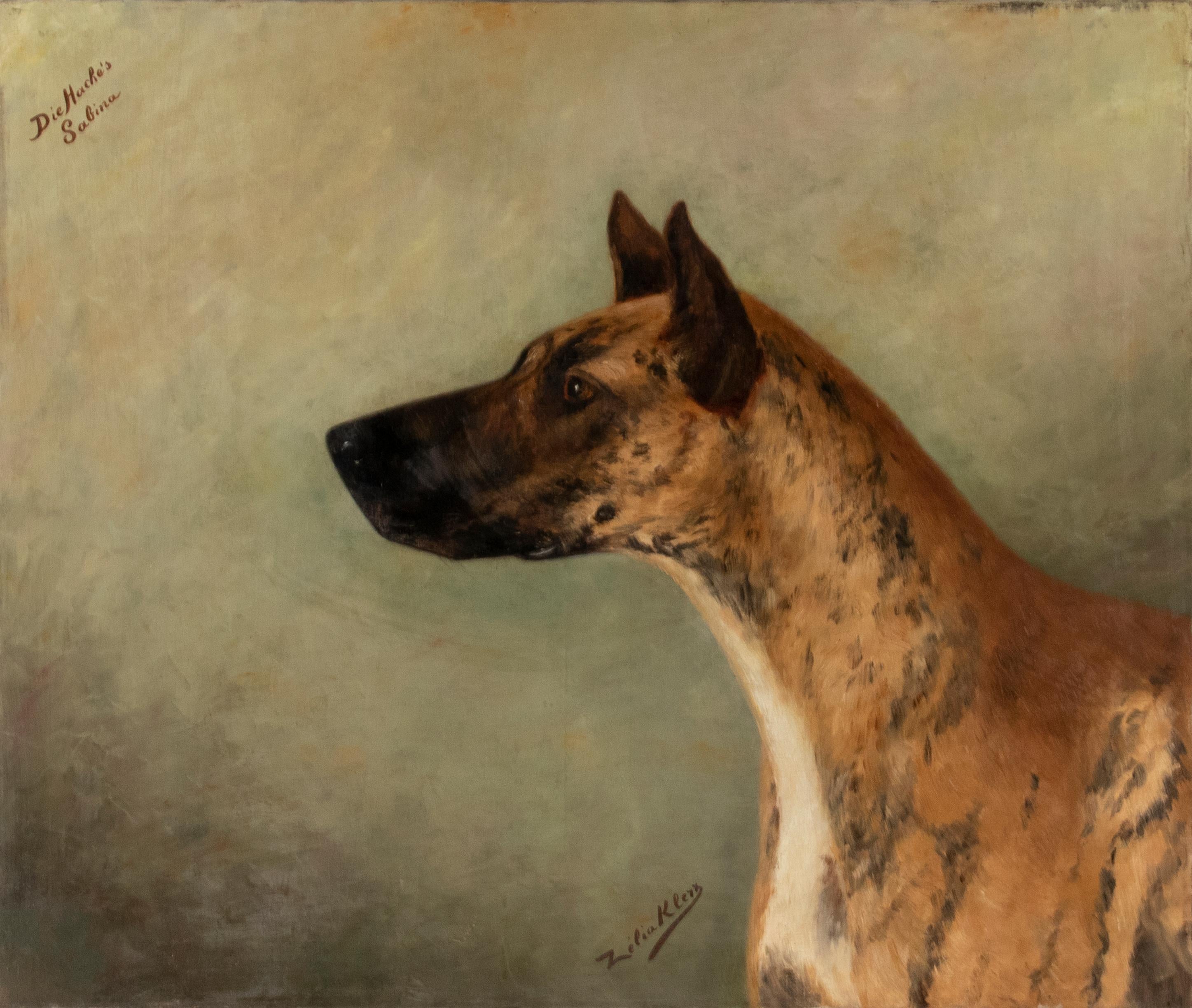 Beautiful antique painting, it is a dog portrait of a Great Dane. The painting is signed Zélia Klerx, she was an artist from the Belgian region of the Ardennes, she made paintings commissioned by owners of castles and distinguished houses. She