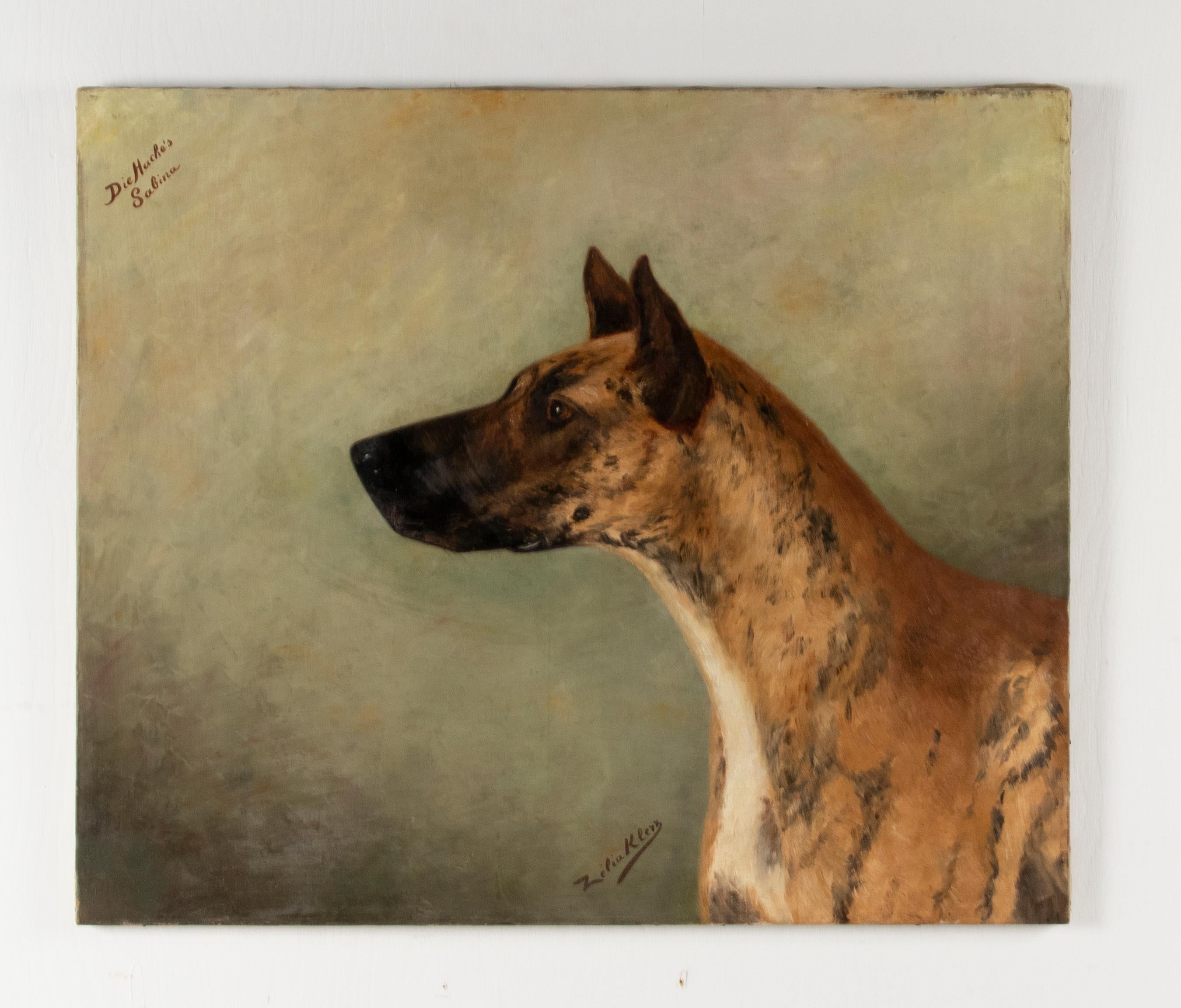 Romantique Portrait ancien d'un dogue allemand par Zélia Maria Klerx Huile sur toile en vente