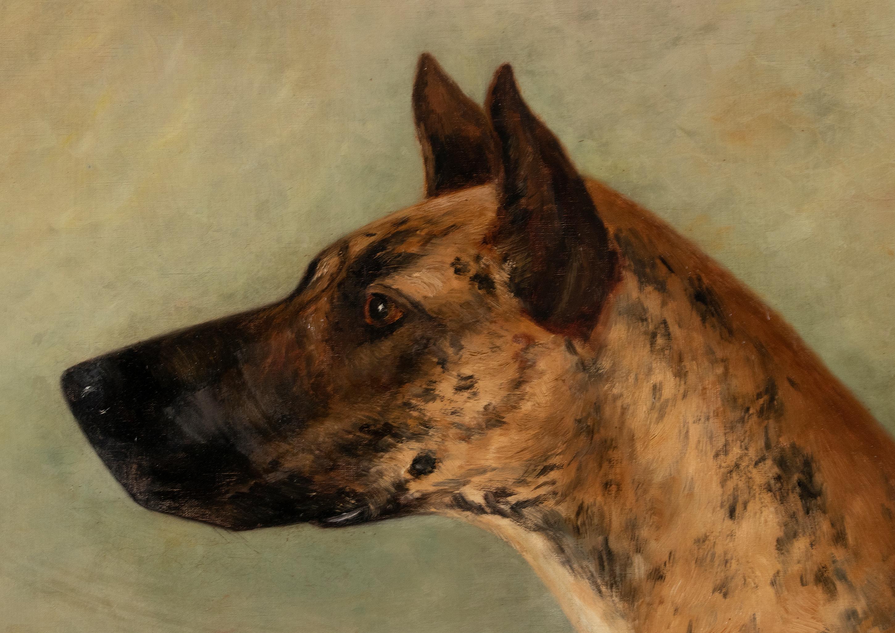 Peint à la main Portrait ancien d'un dogue allemand par Zélia Maria Klerx Huile sur toile en vente