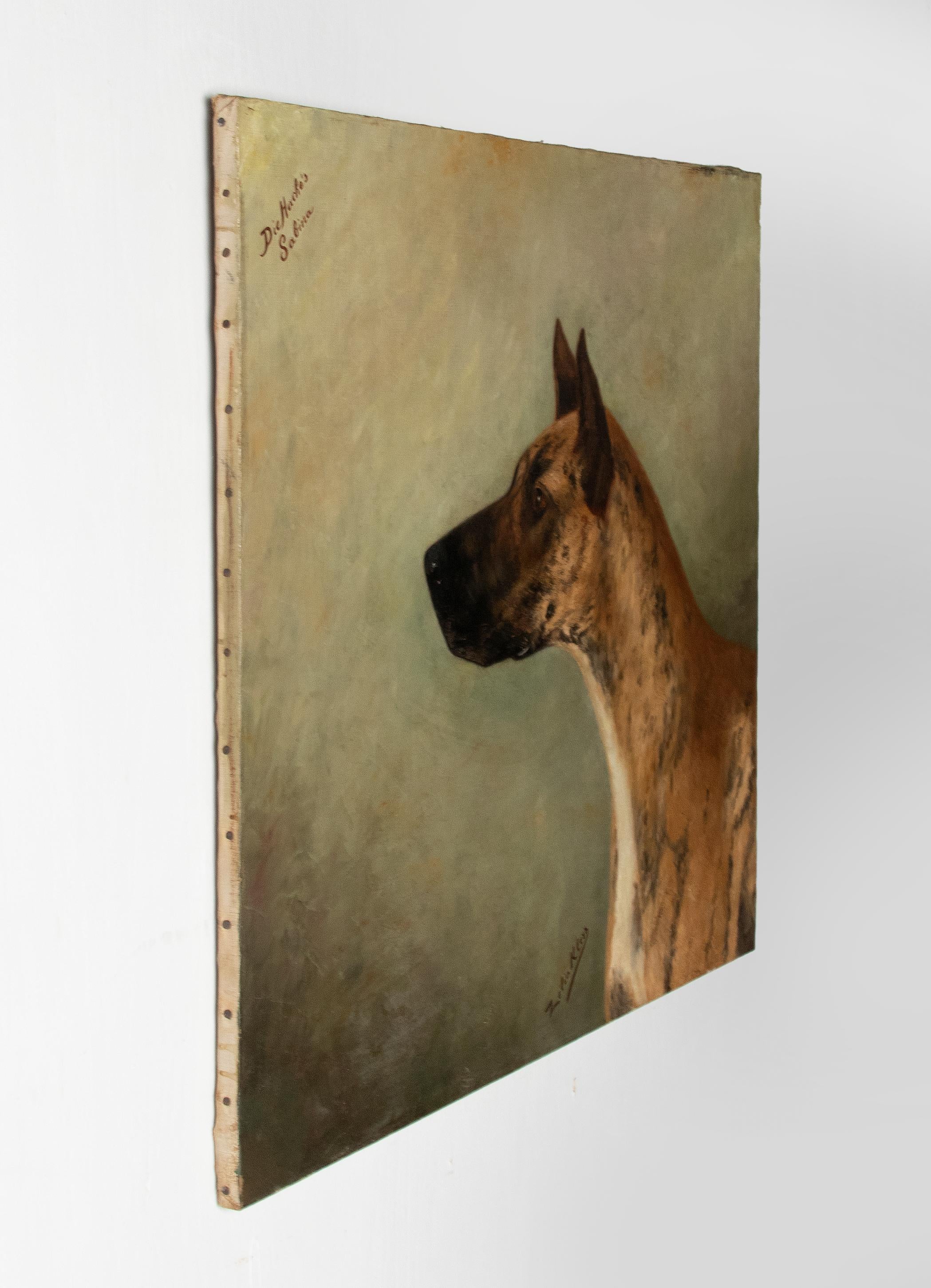 Portrait ancien d'un dogue allemand par Zélia Maria Klerx Huile sur toile Bon état - En vente à Casteren, Noord-Brabant