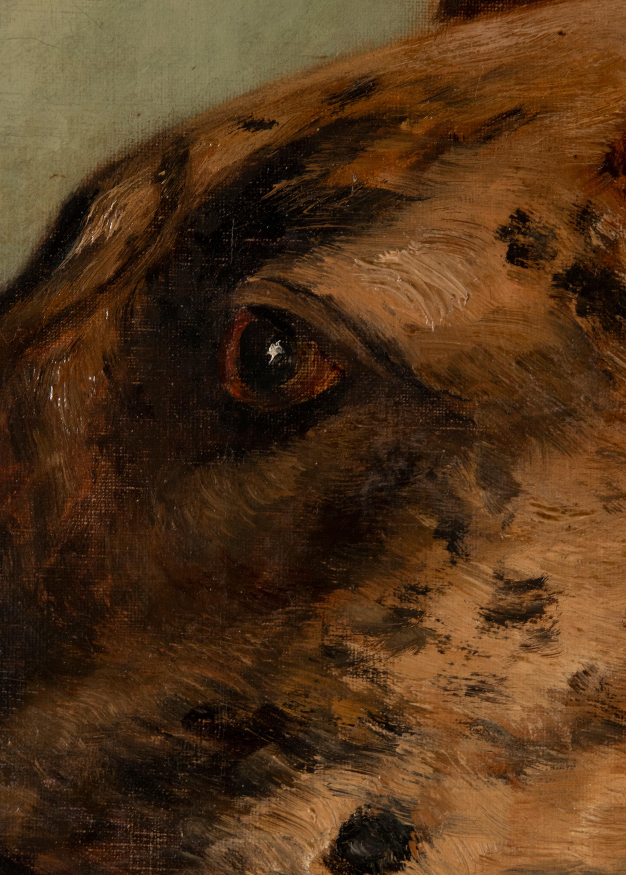 Fin du XIXe siècle Portrait ancien d'un dogue allemand par Zélia Maria Klerx Huile sur toile en vente