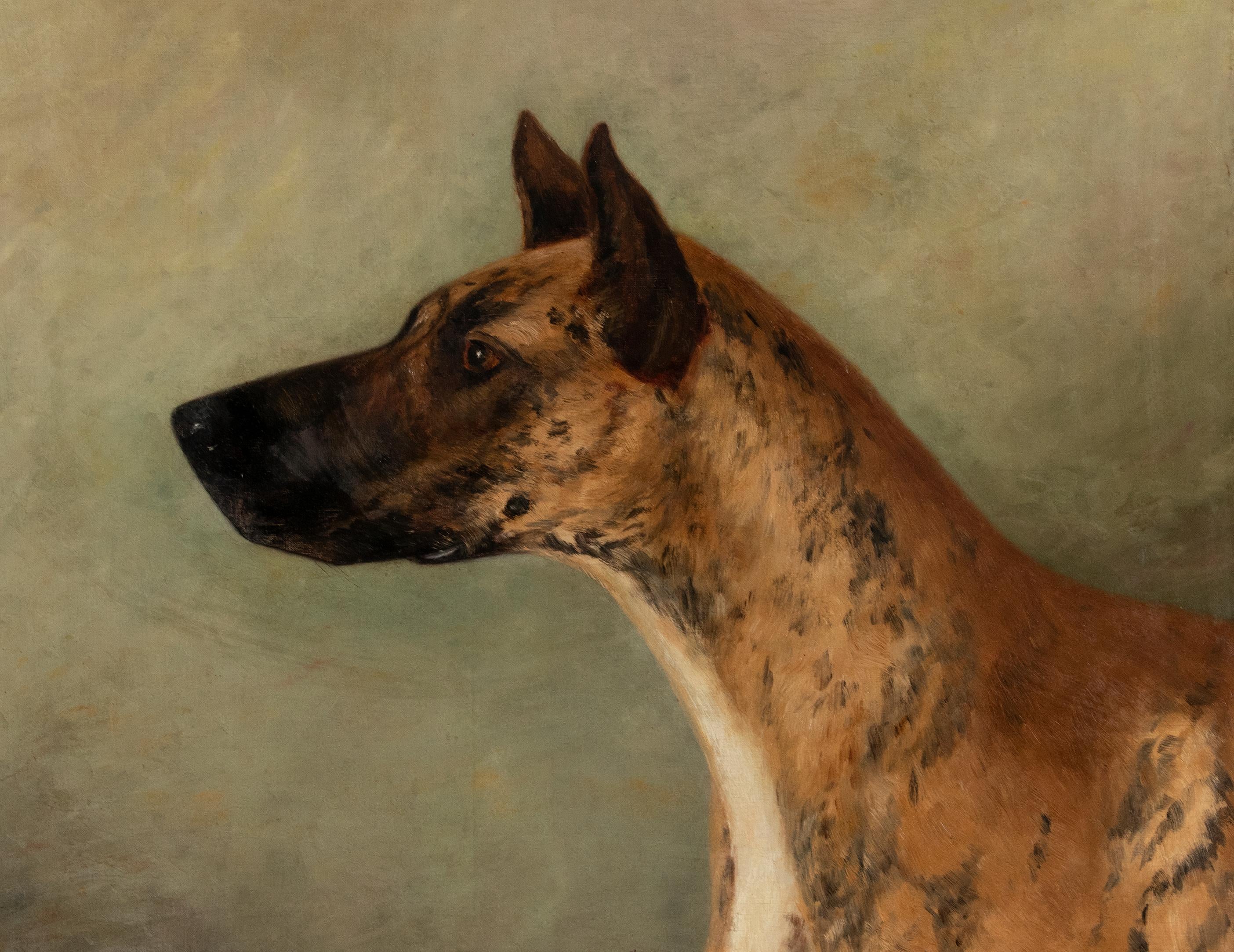 Antique Portrait of a Great Dane by Zélia Maria Klerx Oil on Canvas In Good Condition For Sale In Casteren, Noord-Brabant