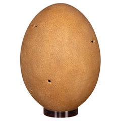 Antique Pre-17th Century Extremely Rare & Complete Elephant Bird Egg, Madagascar
