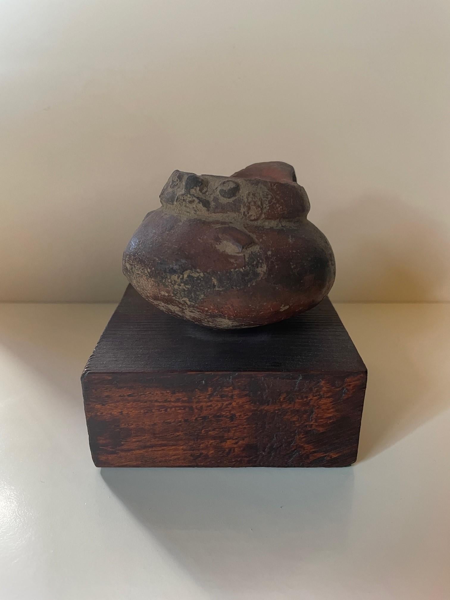 Artefacts antiques Pre-Columbian montés en forme d'oiseau en vente 1