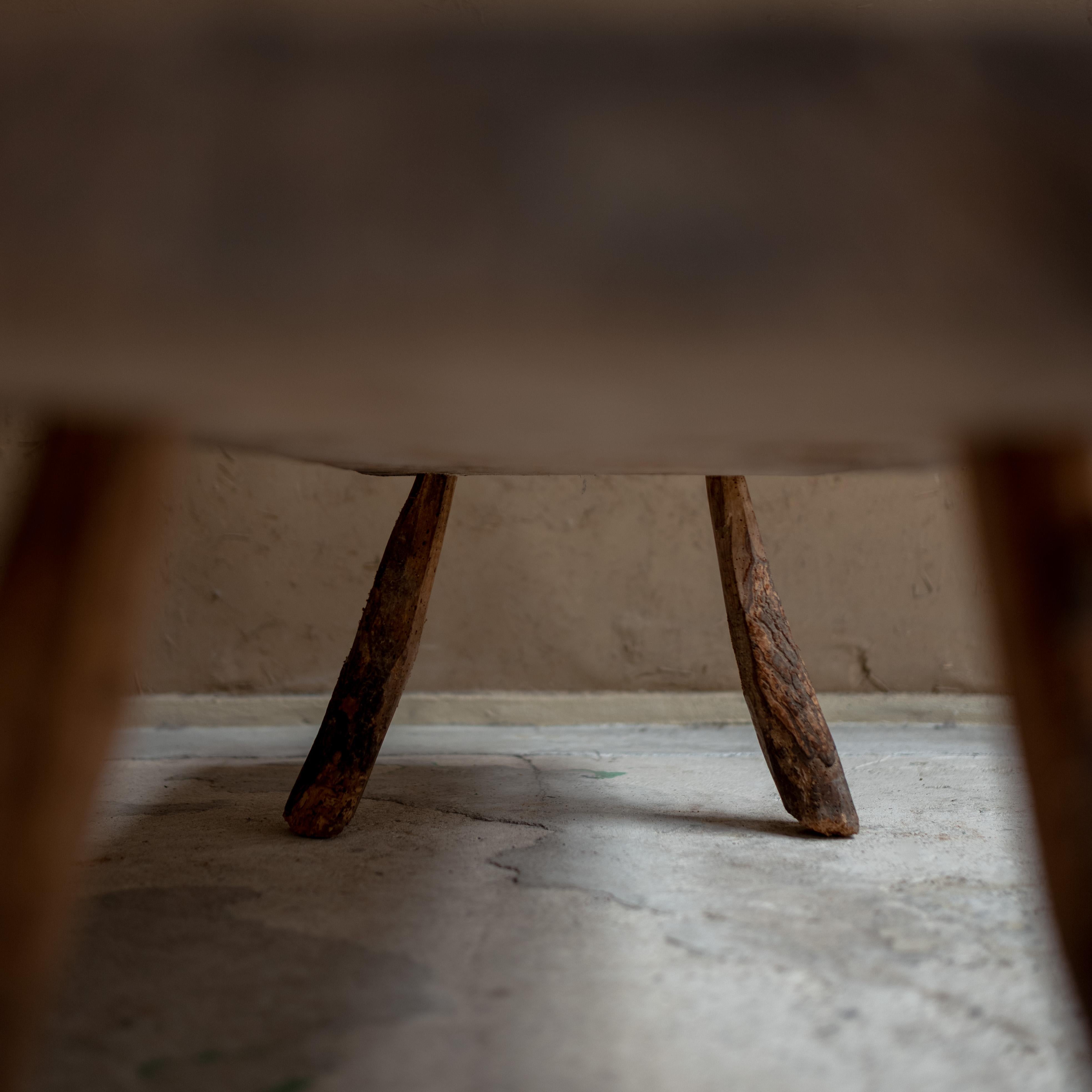 Antique Primitive Bench,  Italy, Mid-19th Century For Sale 2