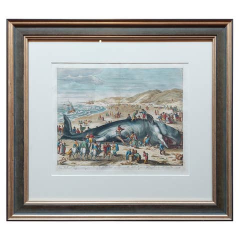 Antique Print of a Beached Whale by Van der Gouwen 'c.1680'