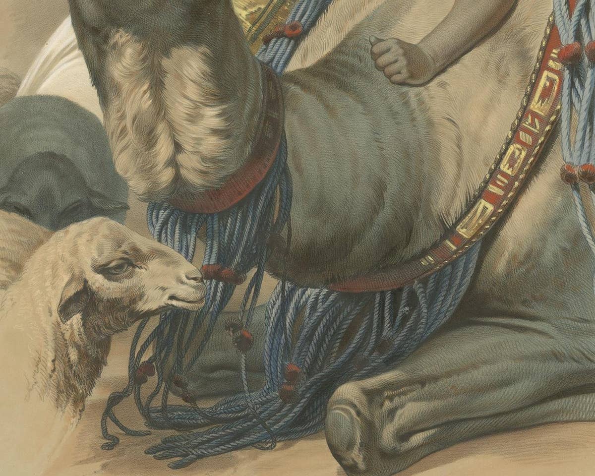 Print of a Bedouin with a Camel during the Battle of the Smala, circa 1845